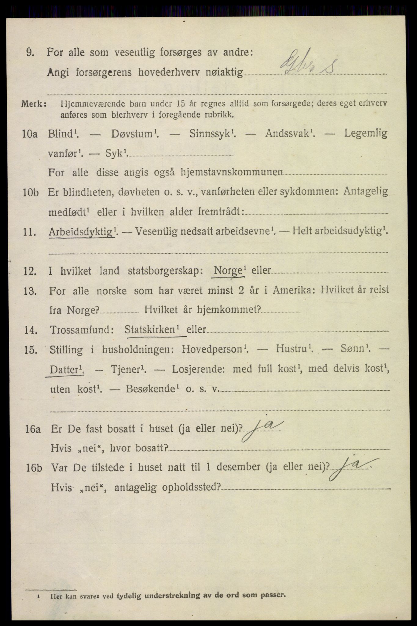 SAH, 1920 census for Skjåk, 1920, p. 2103