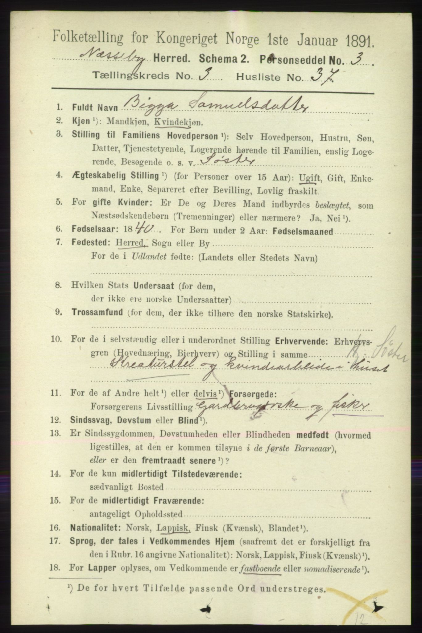 RA, 1891 census for 2027 Nesseby, 1891, p. 1204