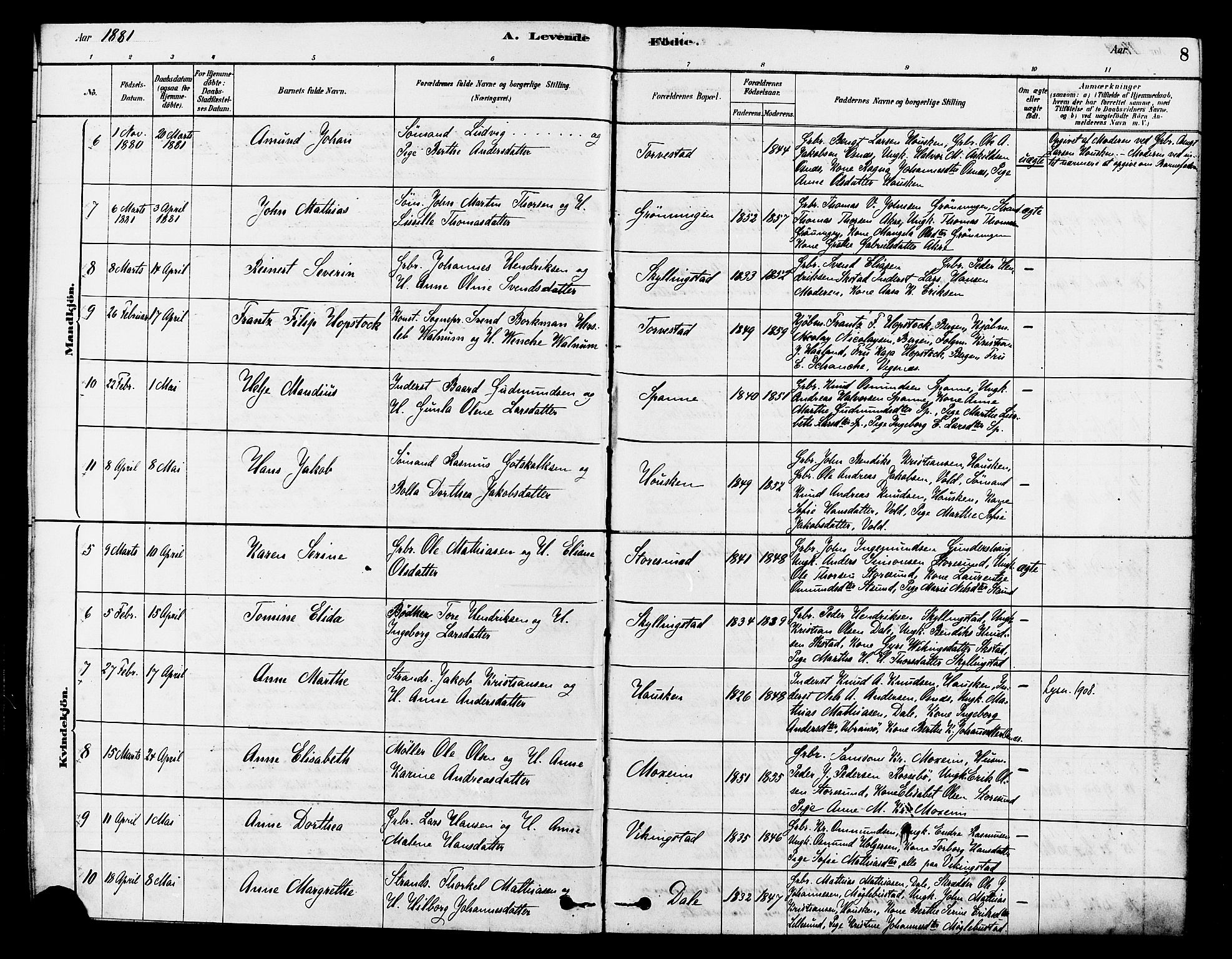 Torvastad sokneprestkontor, SAST/A -101857/H/Ha/Haa/L0014: Parish register (official) no. A 13, 1879-1888, p. 8