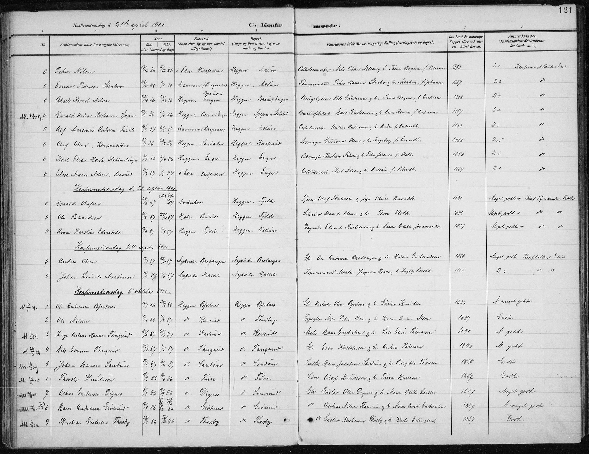 Modum kirkebøker, AV/SAKO-A-234/F/Fa/L0013: Parish register (official) no. 13, 1899-1907, p. 121