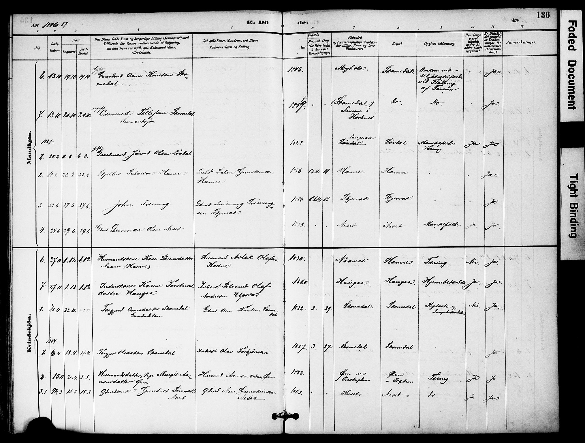 Bygland sokneprestkontor, SAK/1111-0006/F/Fa/Fab/L0007: Parish register (official) no. A 7, 1885-1909, p. 136