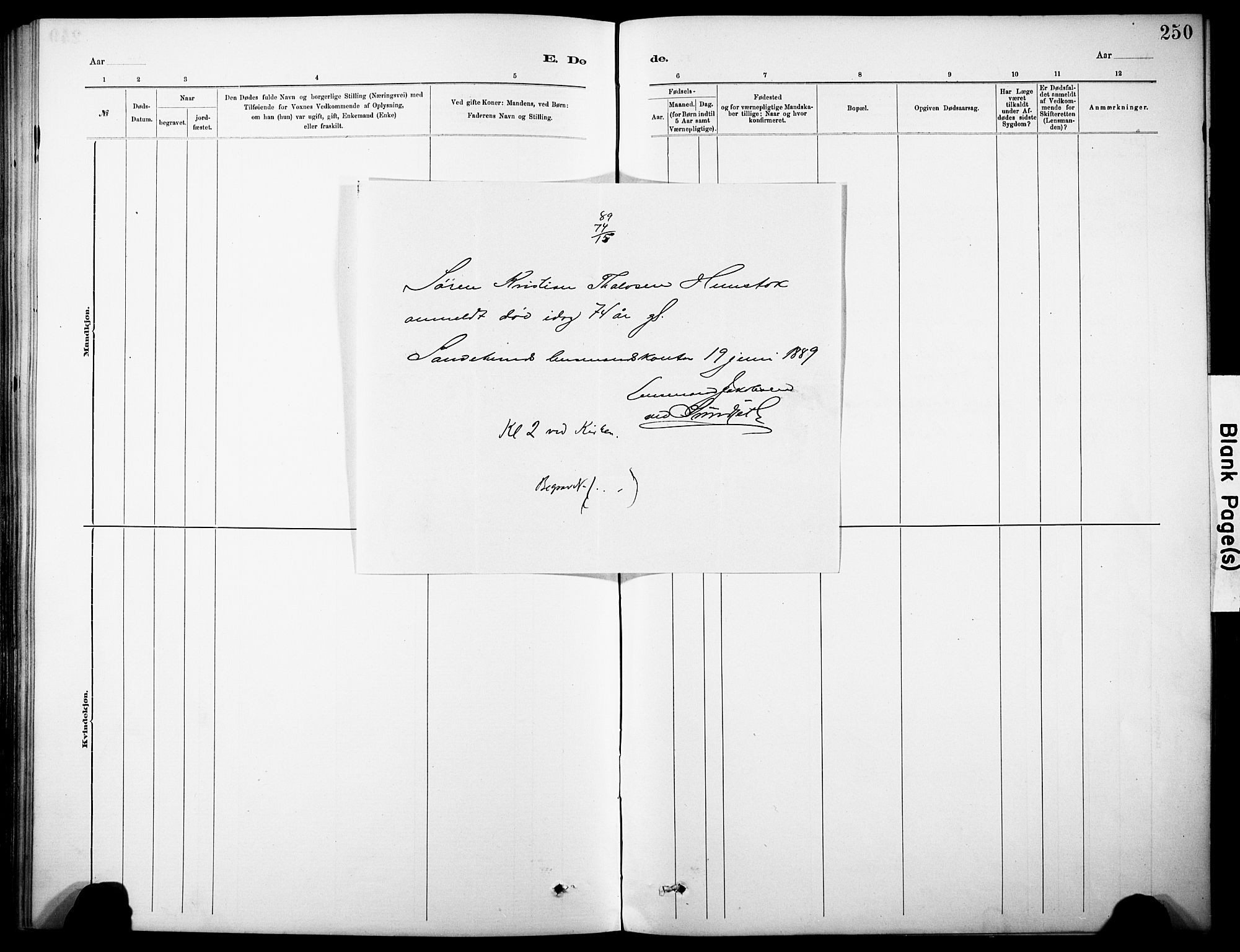 Sandar kirkebøker, SAKO/A-243/F/Fa/L0013: Parish register (official) no. 13, 1883-1895, p. 250
