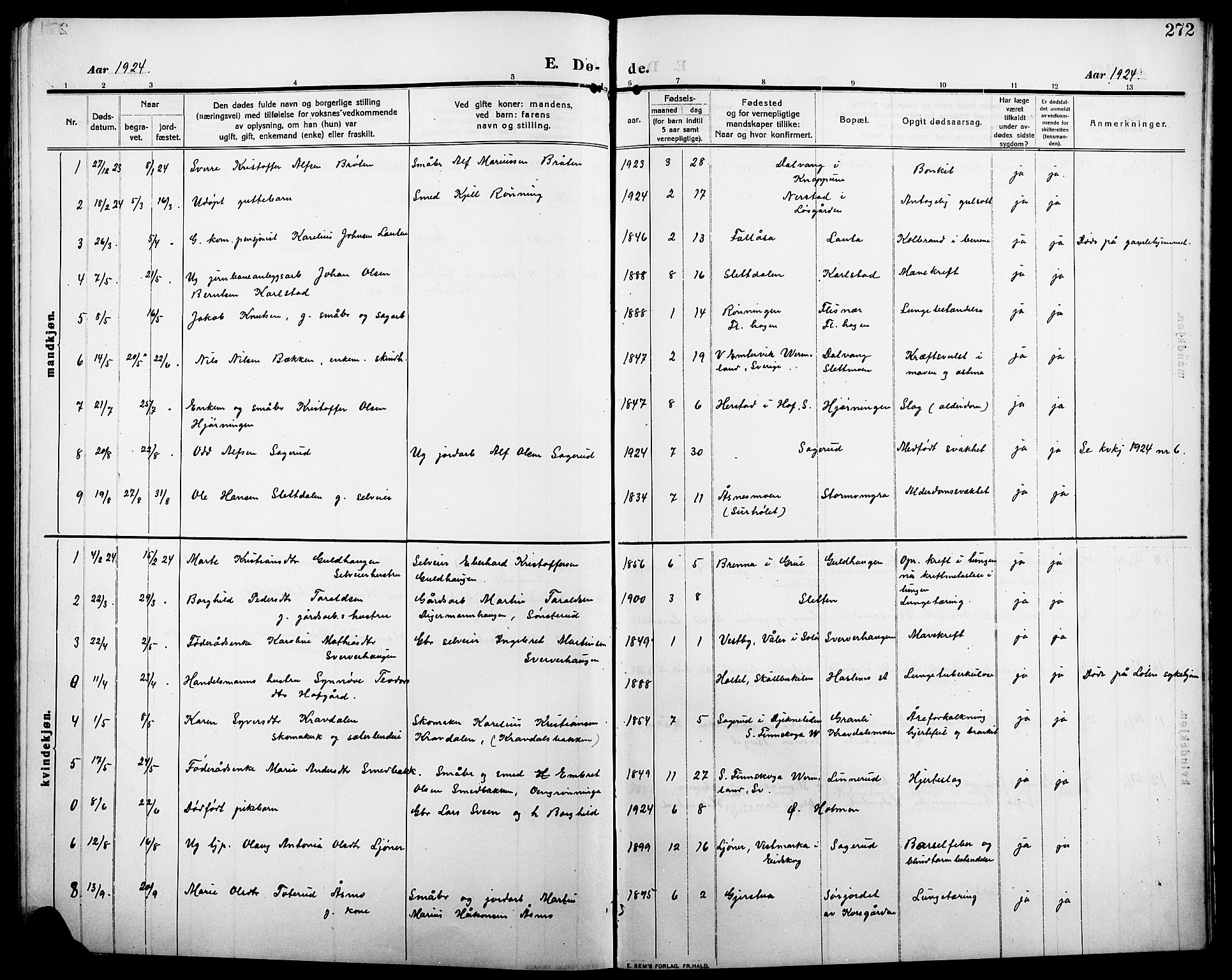 Åsnes prestekontor, AV/SAH-PREST-042/H/Ha/Hab/L0007: Parish register (copy) no. 7, 1909-1926, p. 272