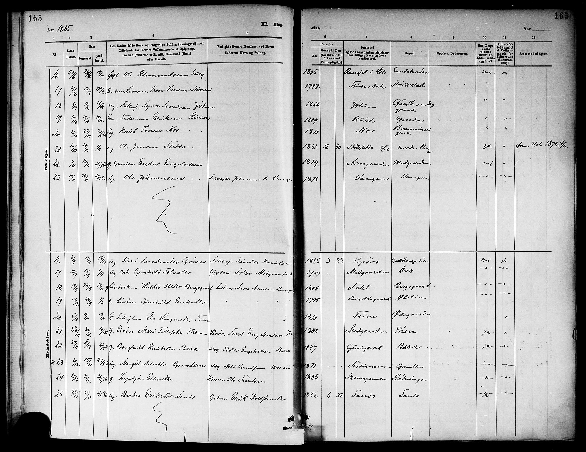Ål kirkebøker, SAKO/A-249/F/Fa/L0008: Parish register (official) no. I 8, 1882-1896, p. 165