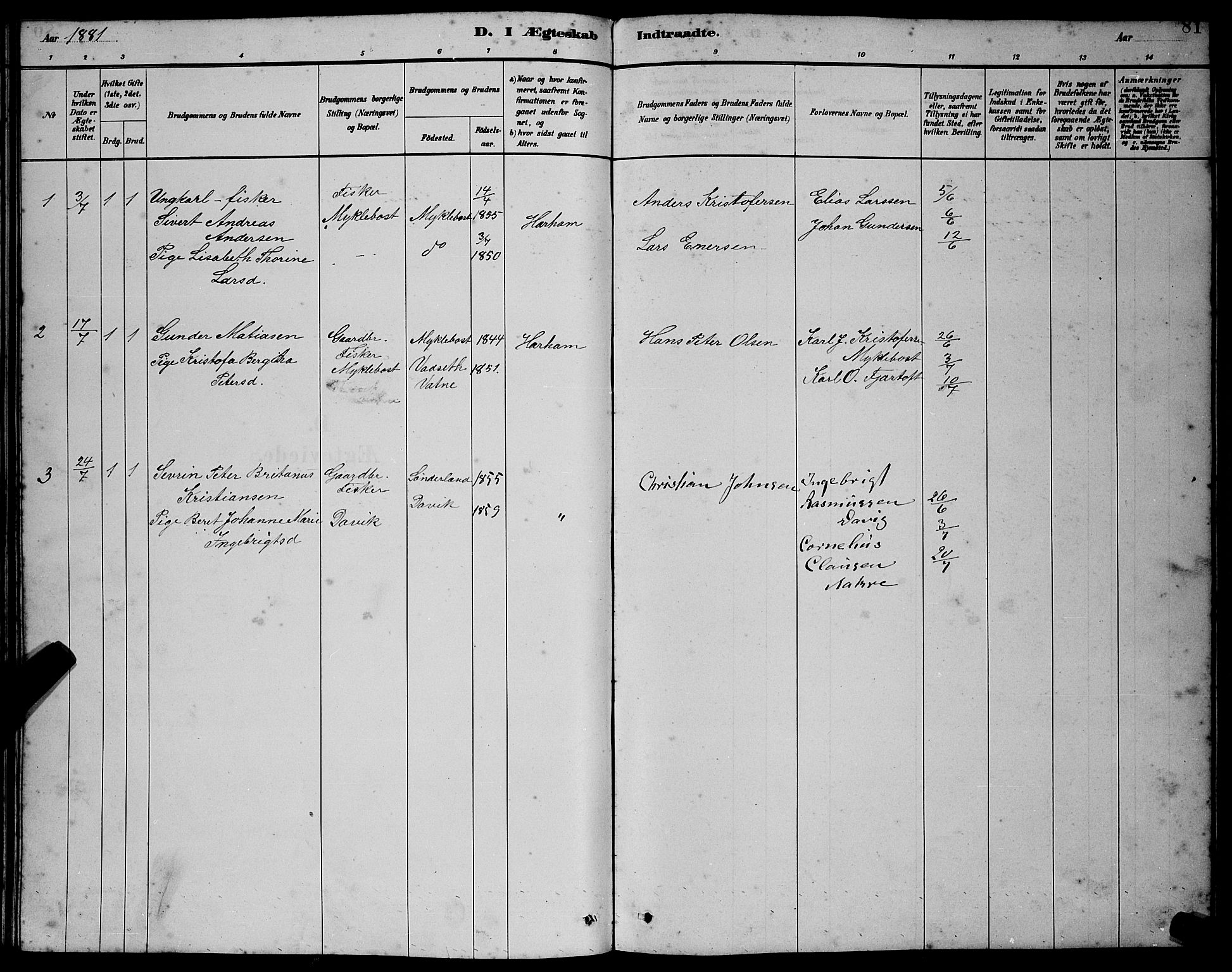 Ministerialprotokoller, klokkerbøker og fødselsregistre - Møre og Romsdal, AV/SAT-A-1454/538/L0523: Parish register (copy) no. 538C01, 1881-1900, p. 81