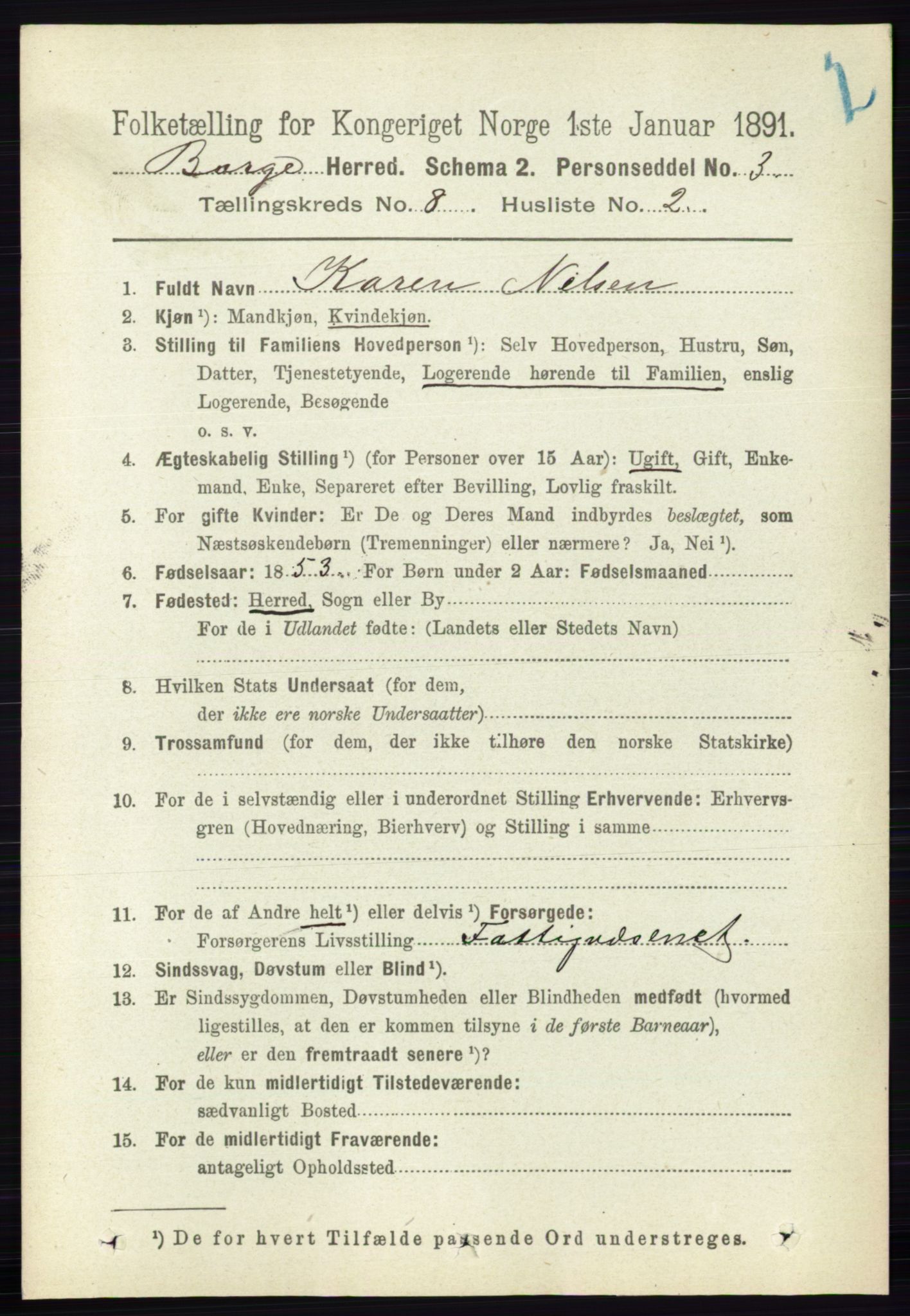 RA, 1891 census for 0113 Borge, 1891, p. 5138