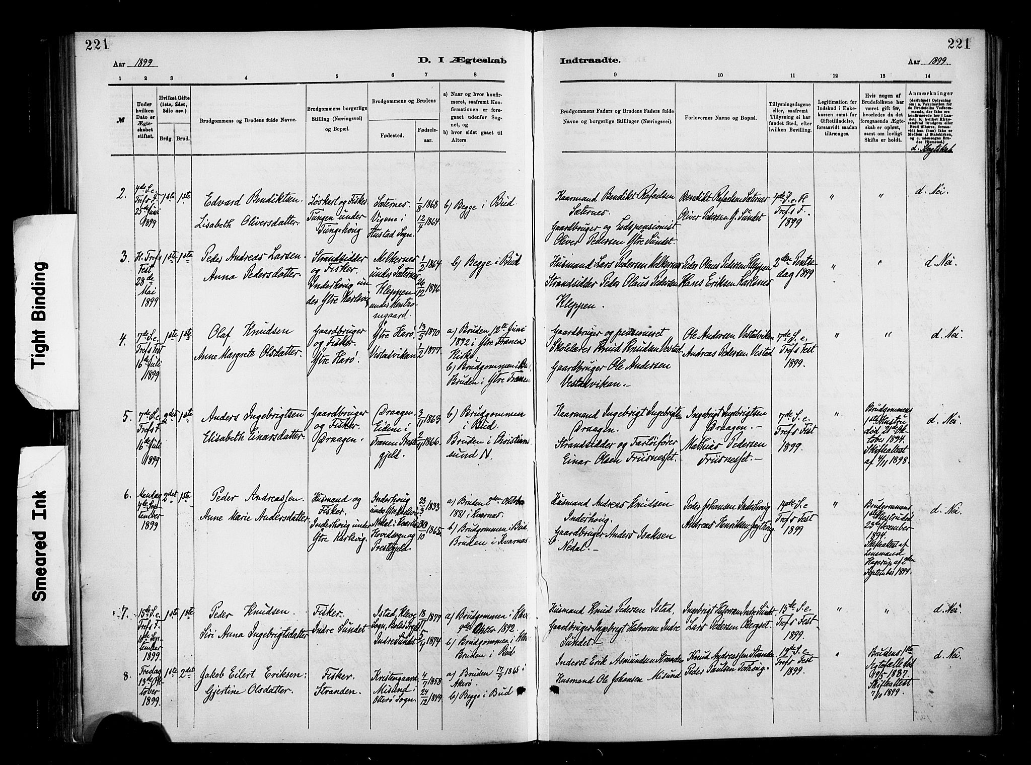 Ministerialprotokoller, klokkerbøker og fødselsregistre - Møre og Romsdal, SAT/A-1454/566/L0769: Parish register (official) no. 566A08, 1881-1903, p. 221