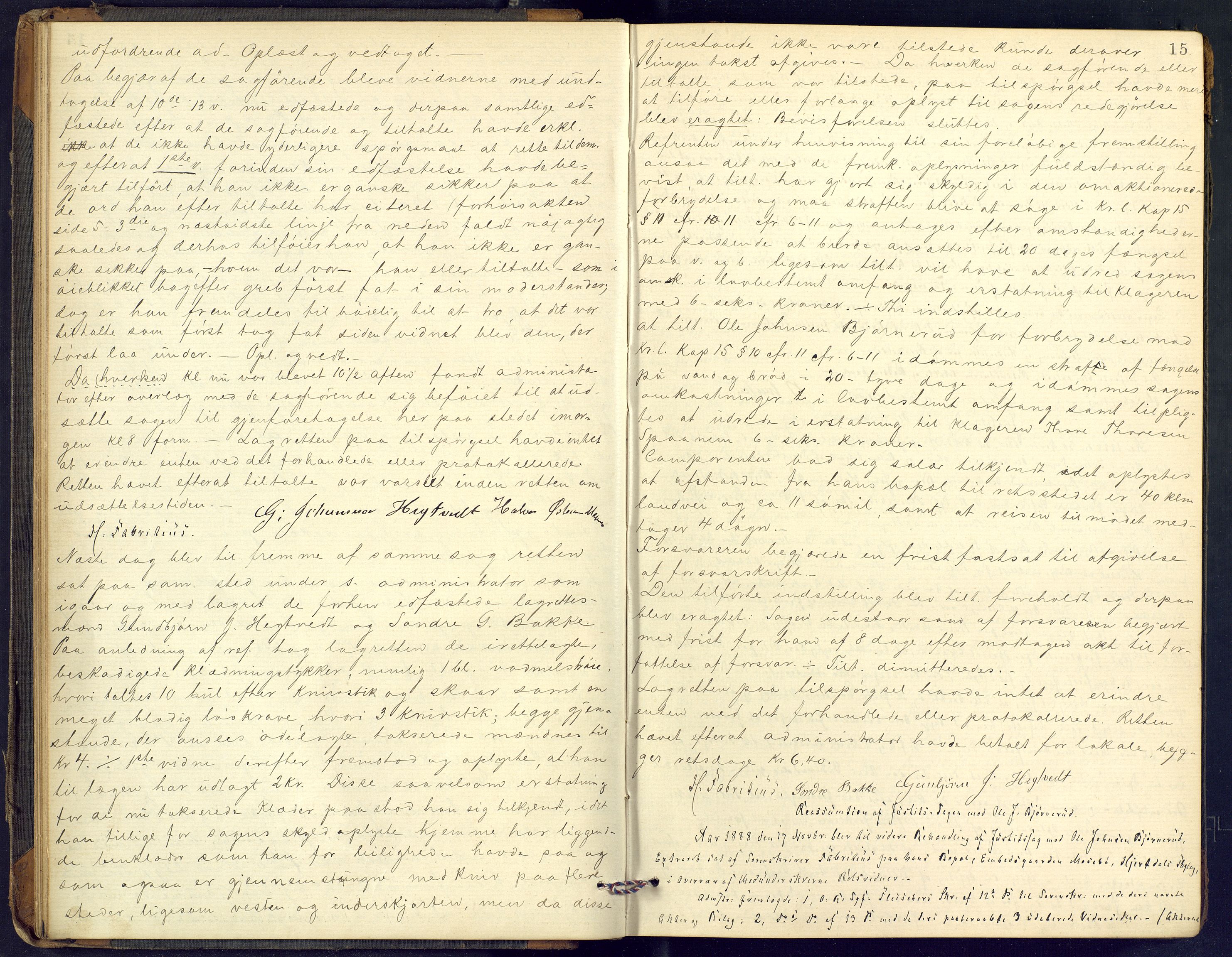 Øvre Telemark østfjelske sorenskriveri, AV/SAKO-A-213/F/Fc/Fcb/L0011: Ekstrarettsprotokoll, straffesaker, 1888-1897, p. 15