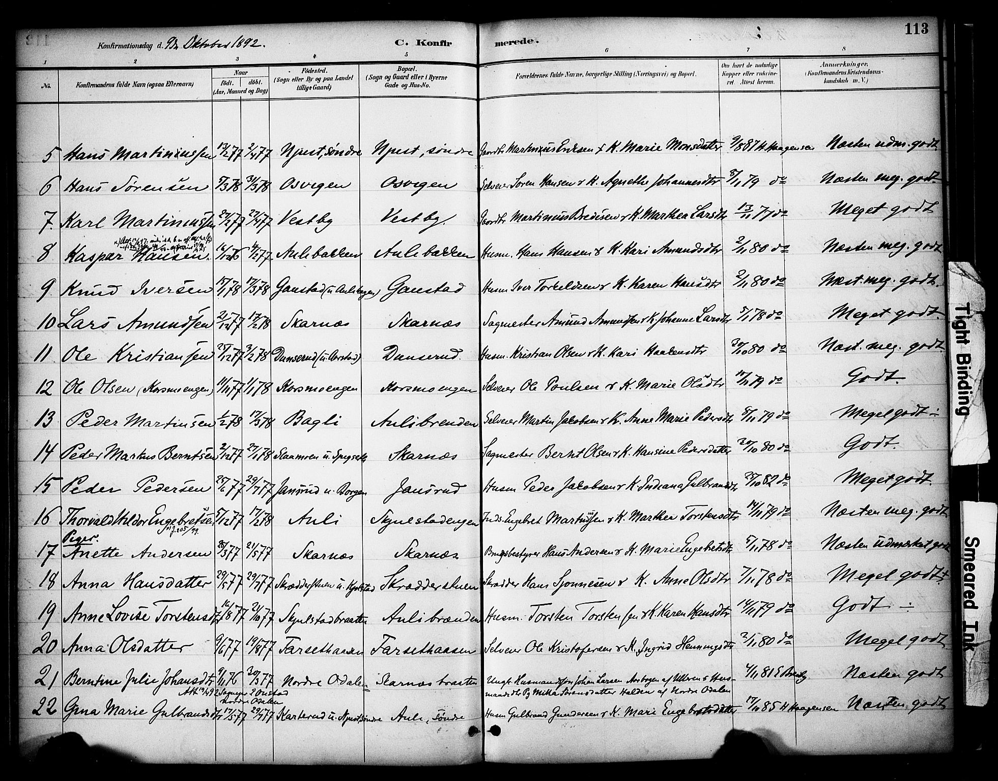 Sør-Odal prestekontor, AV/SAH-PREST-030/H/Ha/Haa/L0009: Parish register (official) no. 9, 1886-1926, p. 113