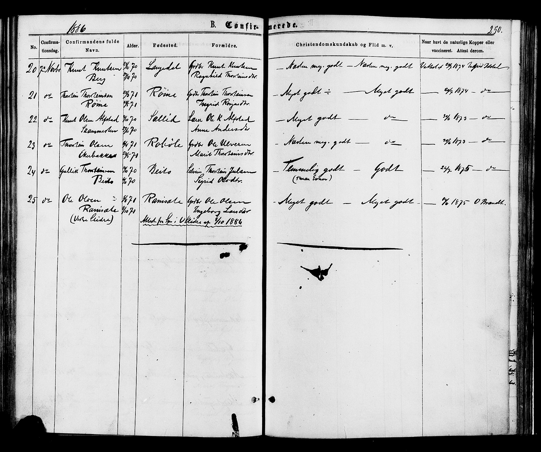 Øystre Slidre prestekontor, SAH/PREST-138/H/Ha/Haa/L0002: Parish register (official) no. 2, 1874-1886, p. 250