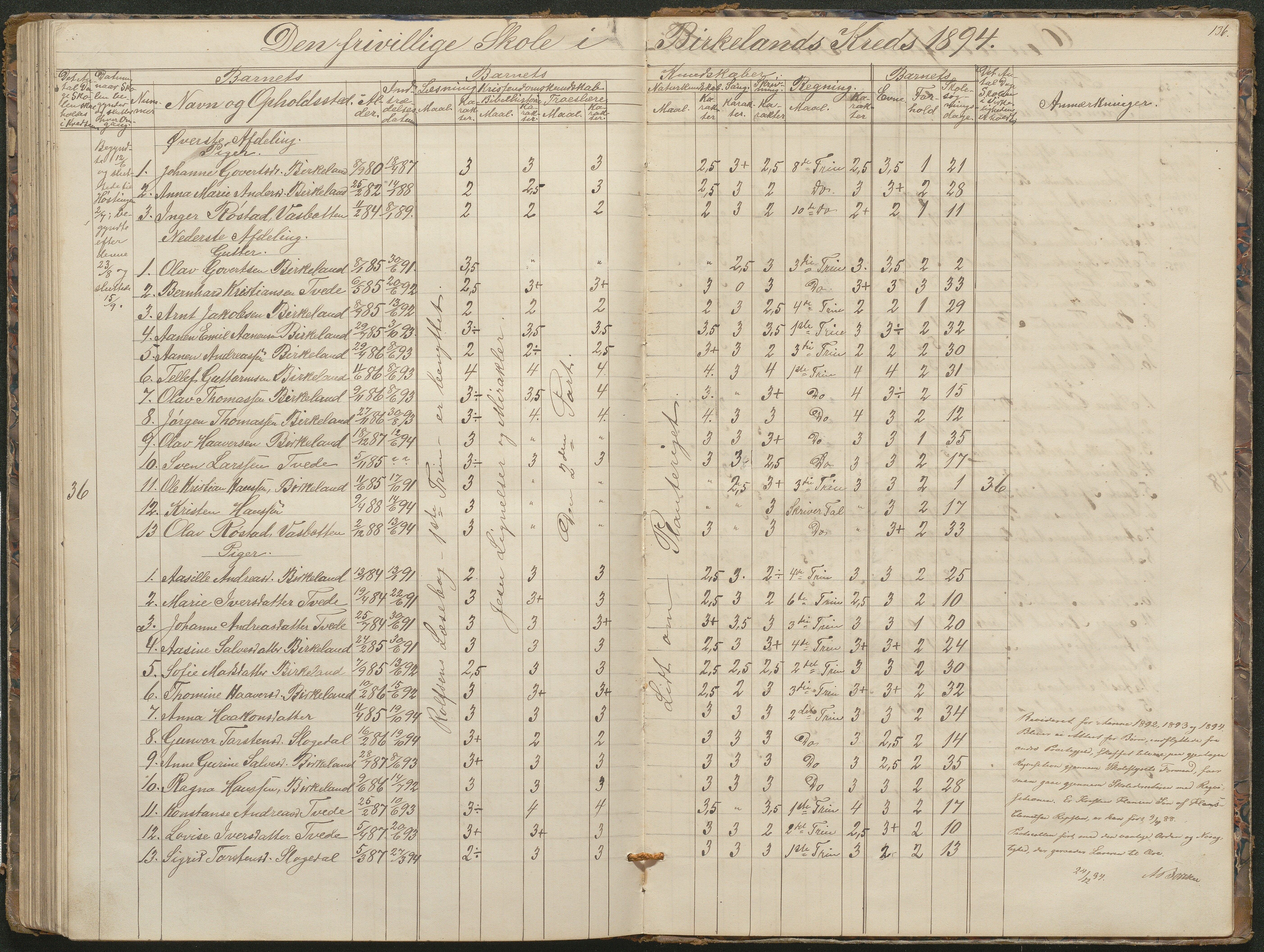 Birkenes kommune, Birkenes krets/Birkeland folkeskole frem til 1991, AAKS/KA0928-550a_91/F02/L0001: Skoleprotokoll, 1862-1896, p. 136