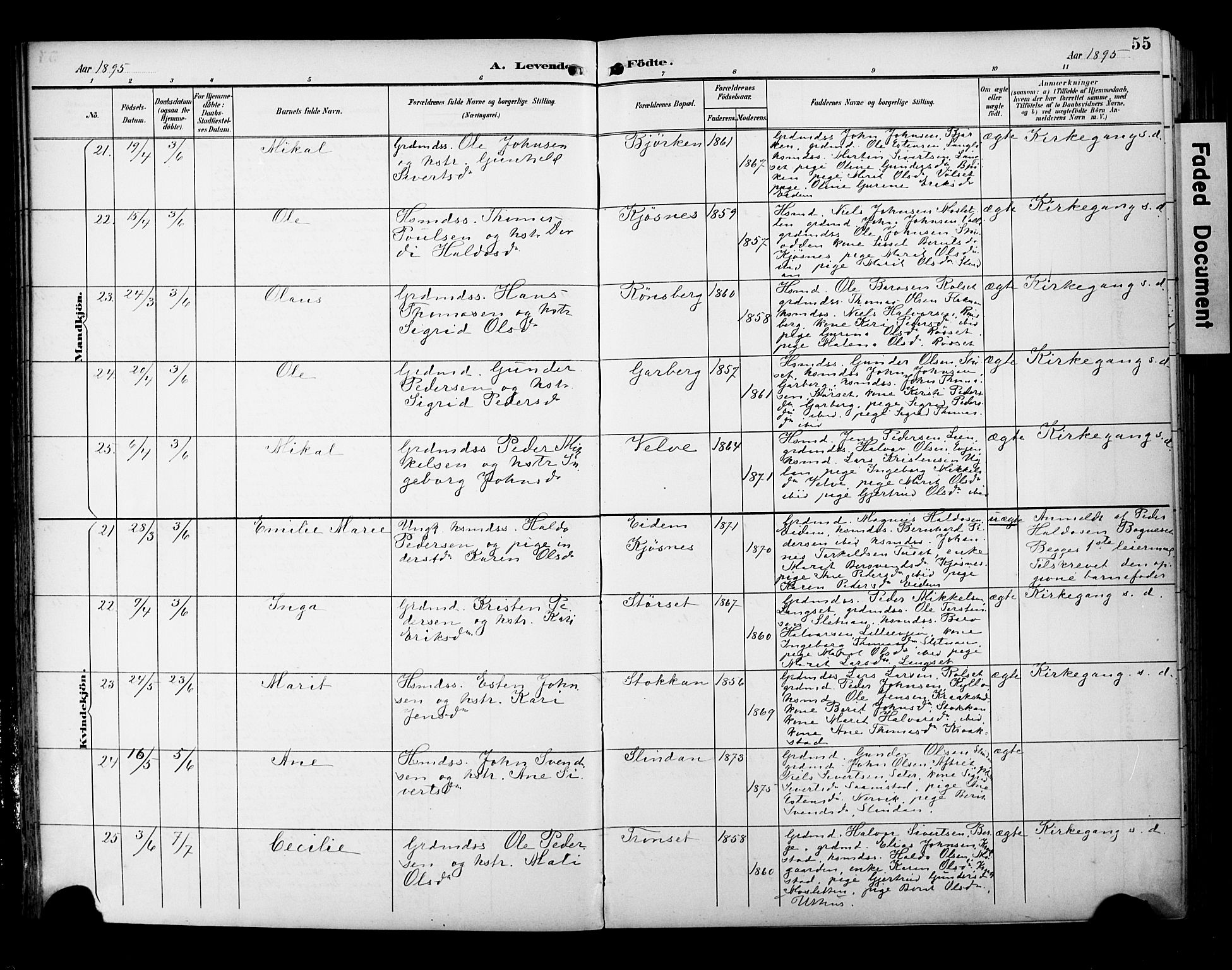 Ministerialprotokoller, klokkerbøker og fødselsregistre - Sør-Trøndelag, AV/SAT-A-1456/695/L1149: Parish register (official) no. 695A09, 1891-1902, p. 55