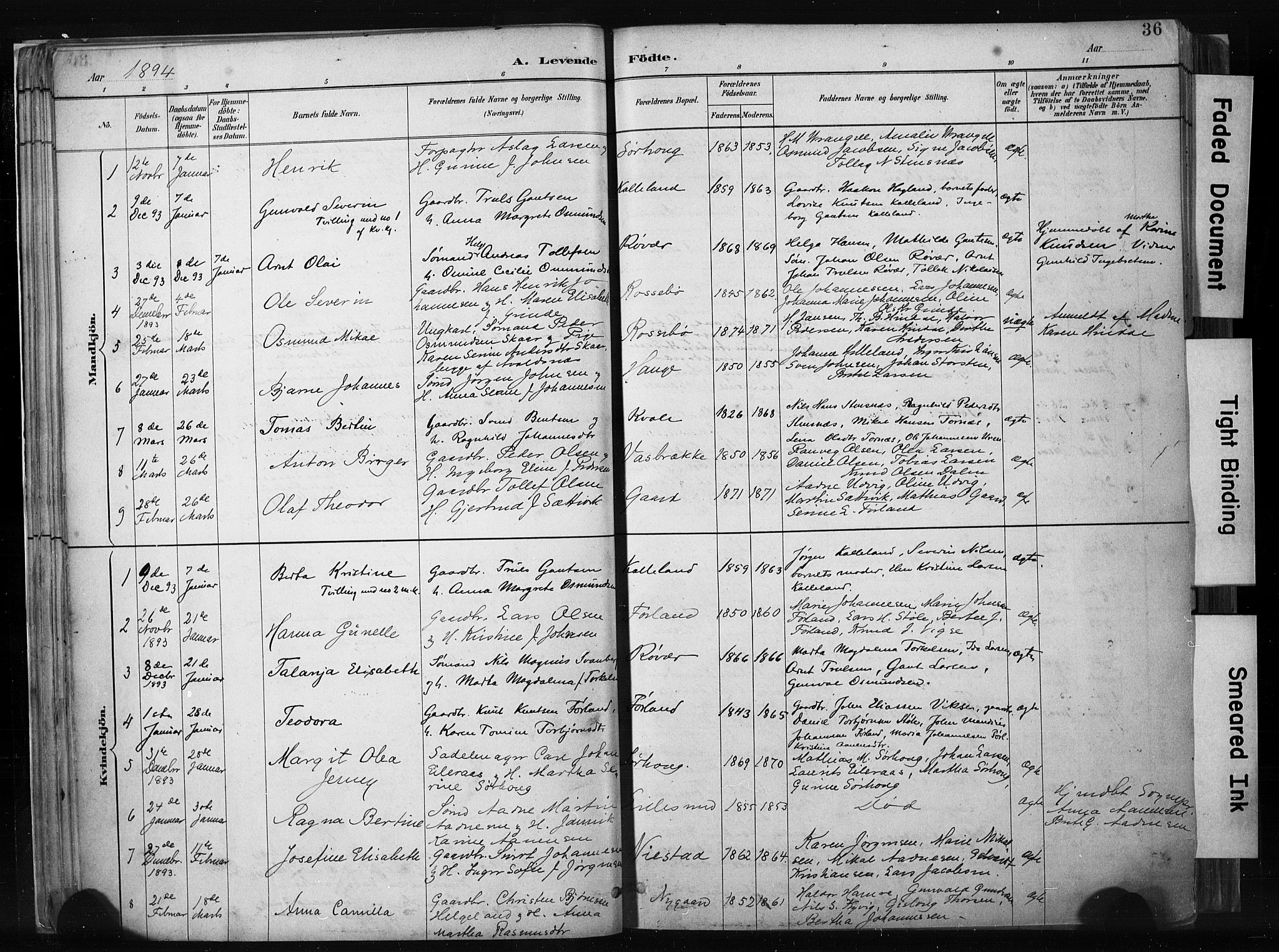 Haugesund sokneprestkontor, AV/SAST-A -101863/H/Ha/Haa/L0004: Parish register (official) no. A 4, 1886-1908, p. 36