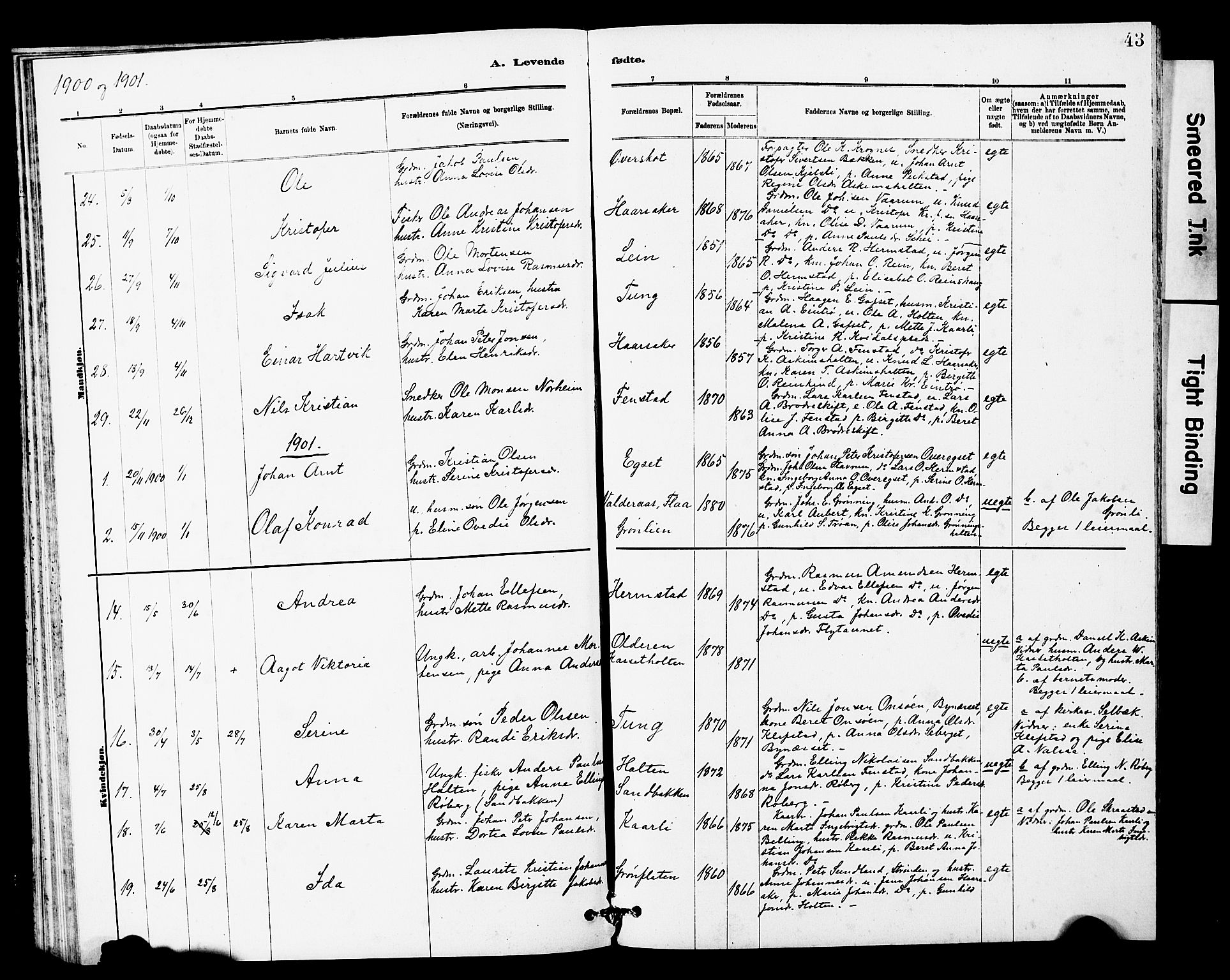 Ministerialprotokoller, klokkerbøker og fødselsregistre - Sør-Trøndelag, SAT/A-1456/646/L0628: Parish register (copy) no. 646C01, 1880-1903, p. 43