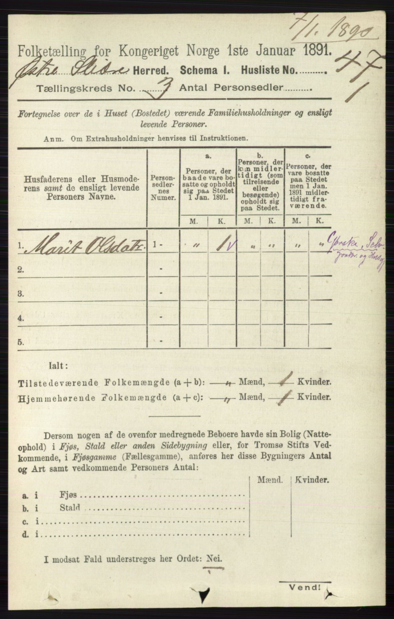 RA, 1891 census for 0544 Øystre Slidre, 1891, p. 596