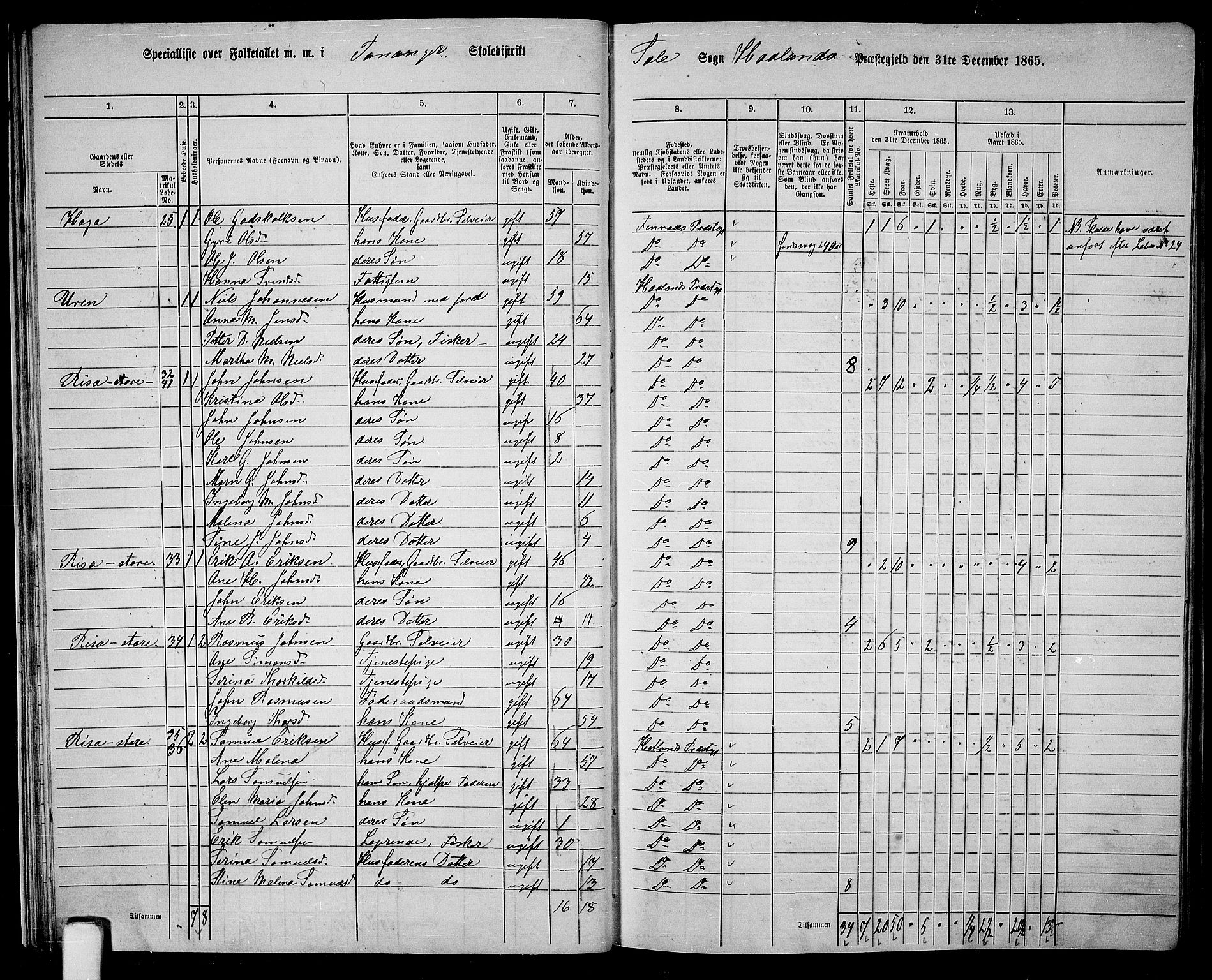 RA, 1865 census for Håland, 1865, p. 29