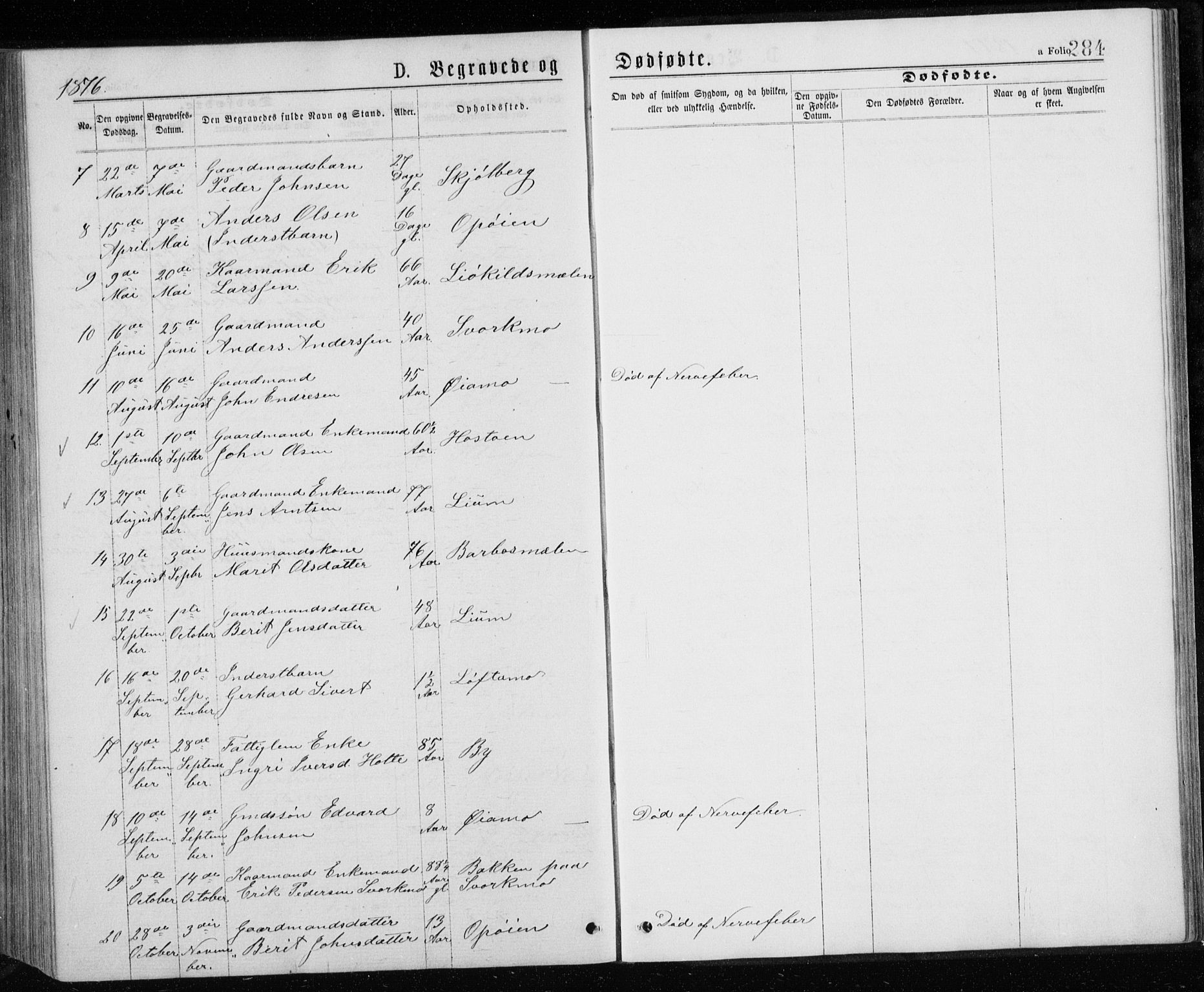 Ministerialprotokoller, klokkerbøker og fødselsregistre - Sør-Trøndelag, AV/SAT-A-1456/671/L0843: Parish register (copy) no. 671C02, 1873-1892, p. 284