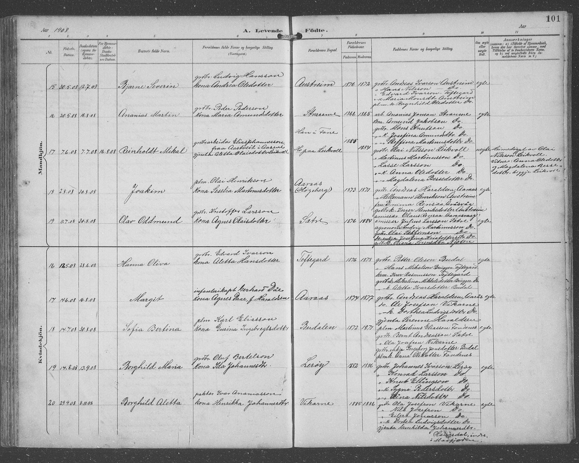 Lindås Sokneprestembete, AV/SAB-A-76701/H/Hab/Habc/L0004: Parish register (copy) no. C 4, 1894-1910, p. 101