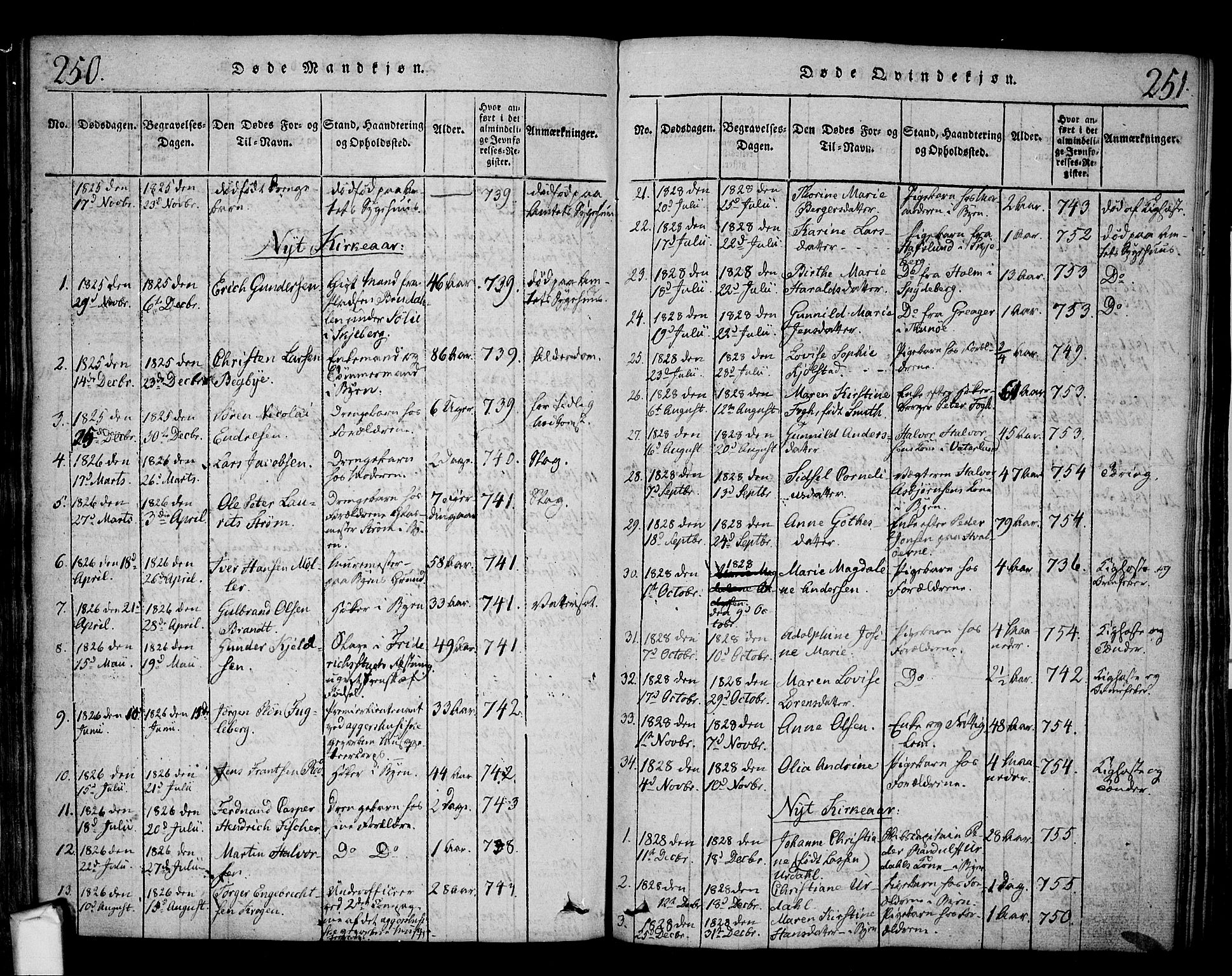 Fredrikstad prestekontor Kirkebøker, SAO/A-11082/F/Fa/L0004: Parish register (official) no. 4, 1816-1834, p. 250-251