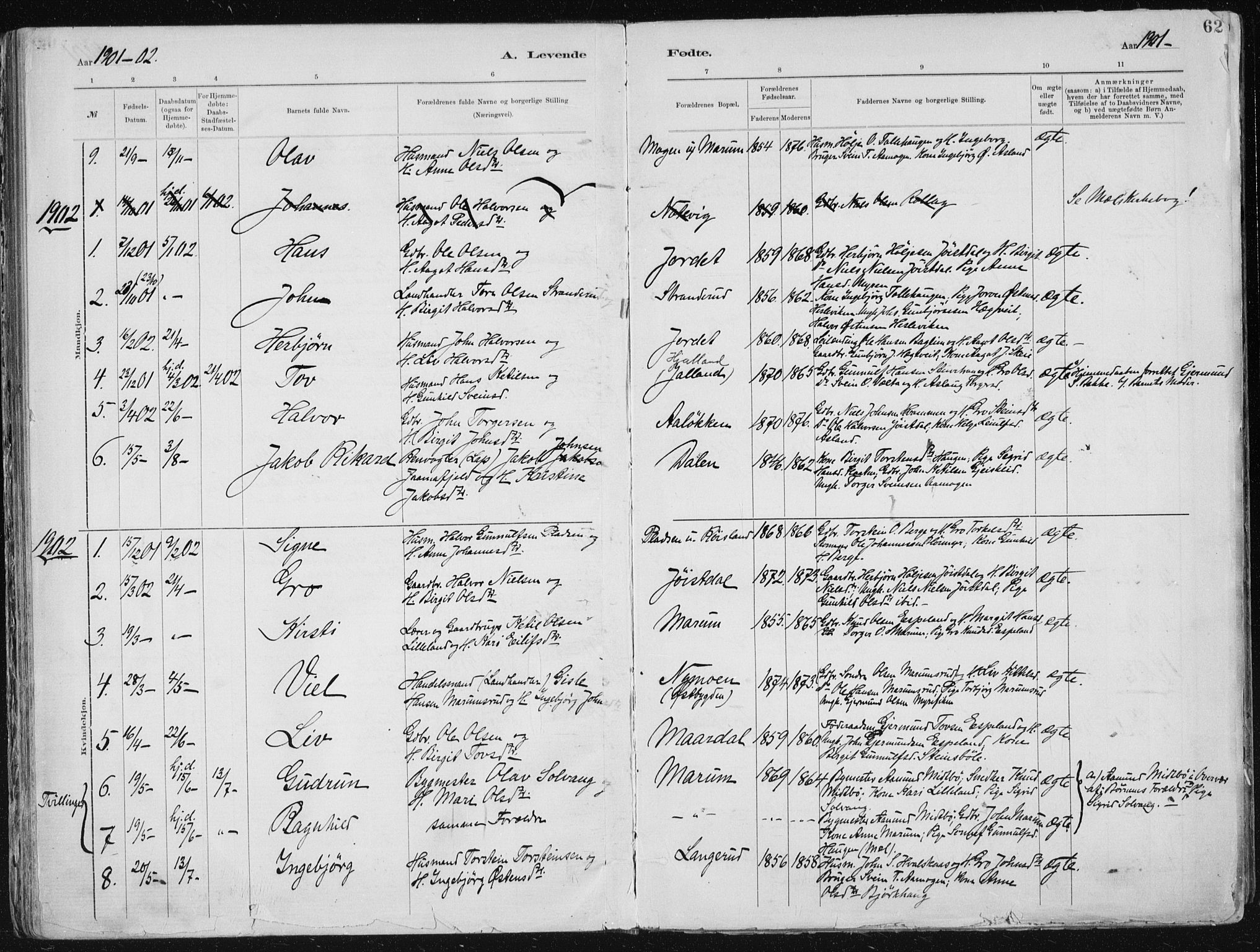 Tinn kirkebøker, AV/SAKO-A-308/F/Fa/L0007: Parish register (official) no. I 7, 1878-1922, p. 62