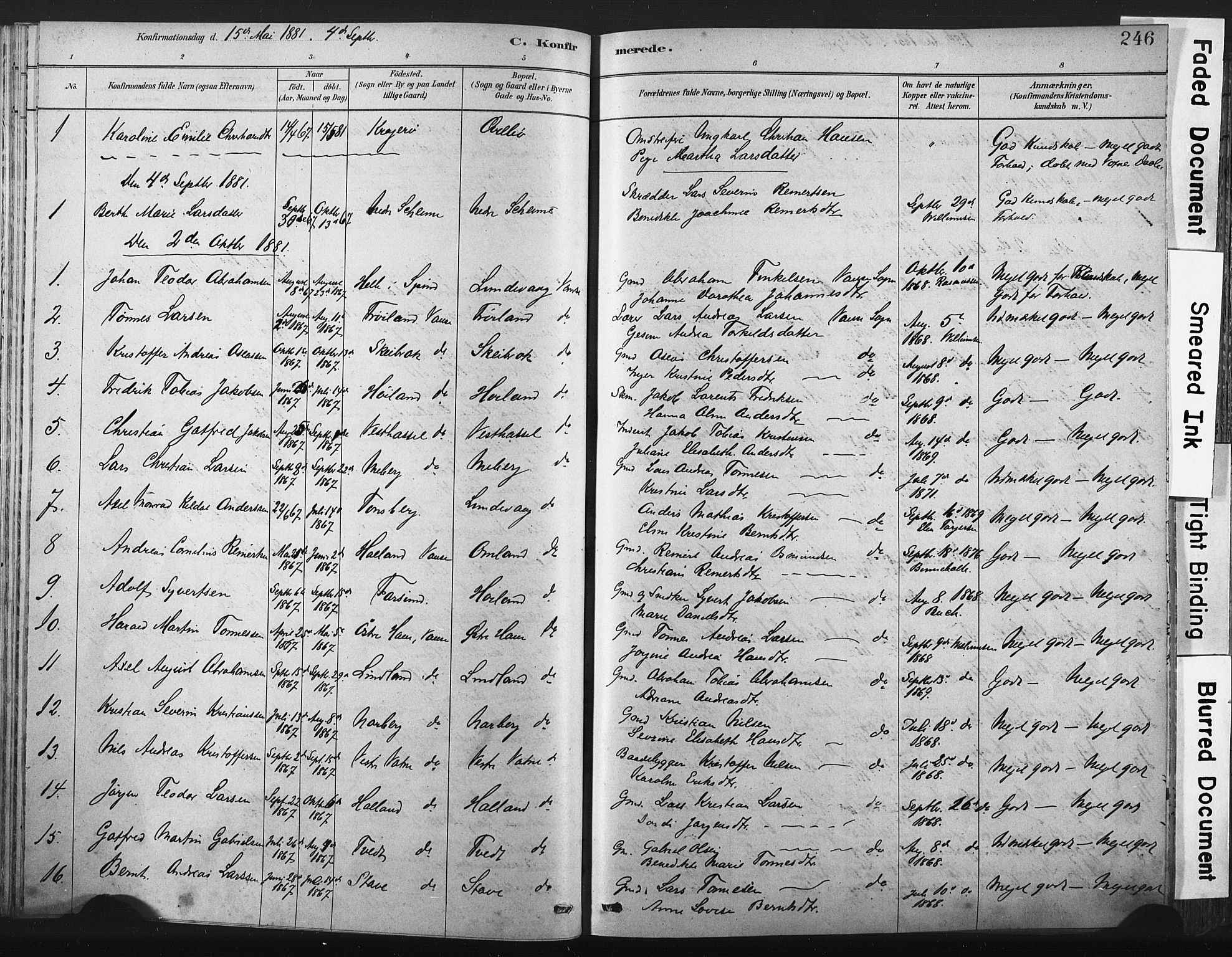 Lista sokneprestkontor, AV/SAK-1111-0027/F/Fa/L0012: Parish register (official) no. A 12, 1879-1903, p. 246