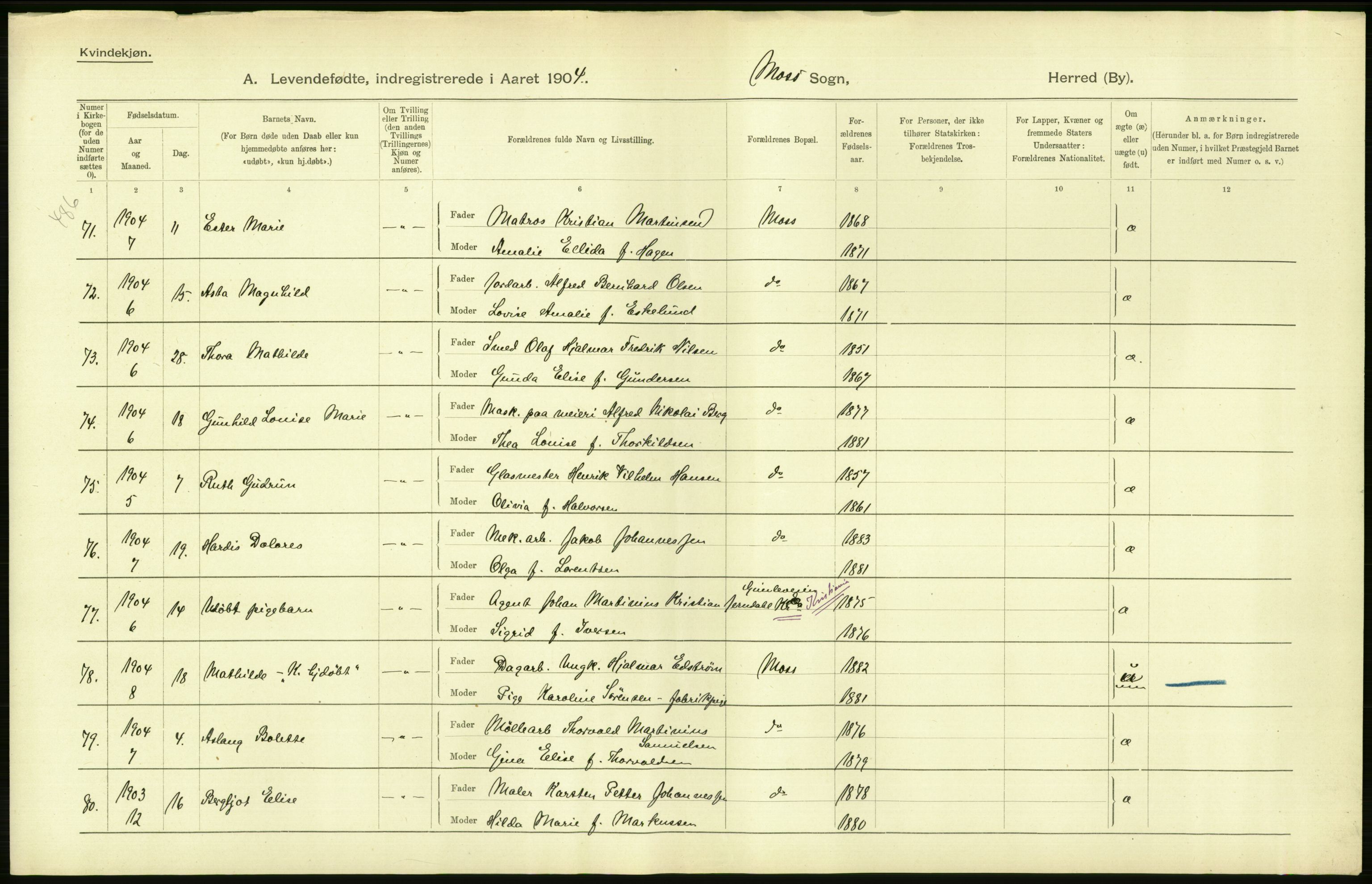 Statistisk sentralbyrå, Sosiodemografiske emner, Befolkning, AV/RA-S-2228/D/Df/Dfa/Dfab/L0001: Smålenenes amt: Fødte, gifte, døde, 1904, p. 48