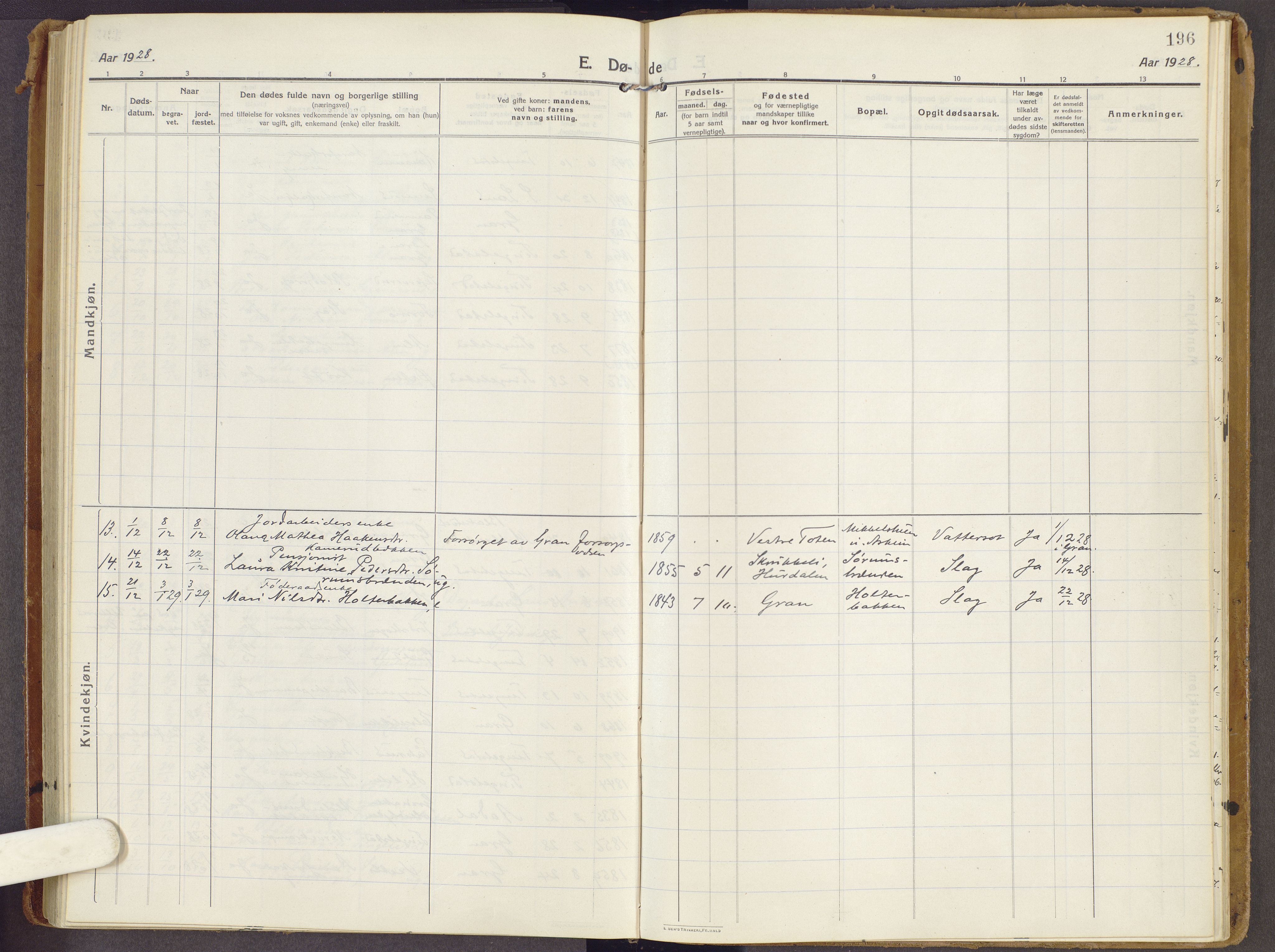 Brandbu prestekontor, SAH/PREST-114/H/Ha/Haa/L0003: Parish register (official) no. 3, 1914-1928, p. 196