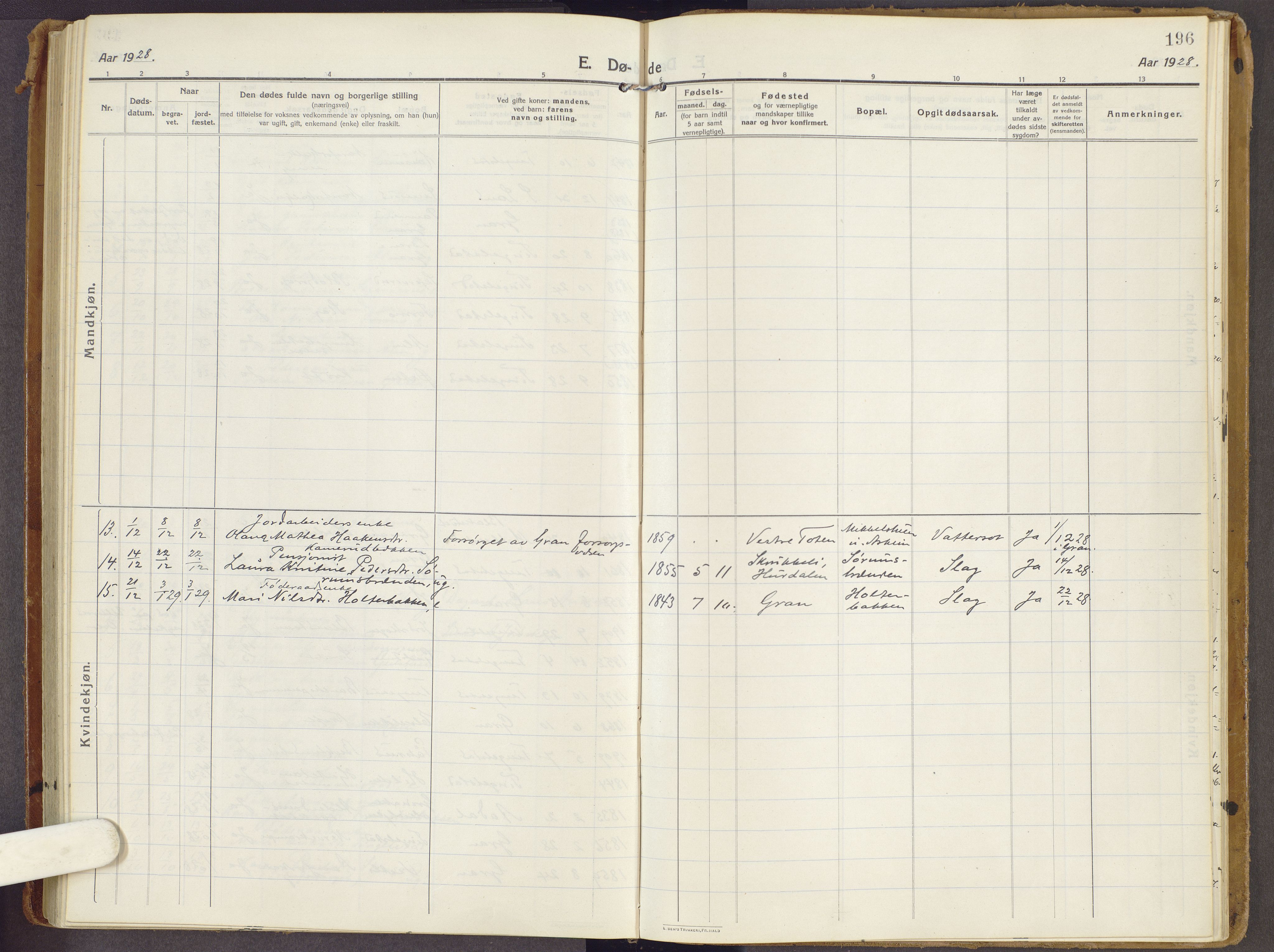 Brandbu prestekontor, AV/SAH-PREST-114/H/Ha/Haa/L0003: Parish register (official) no. 3, 1914-1928, p. 196