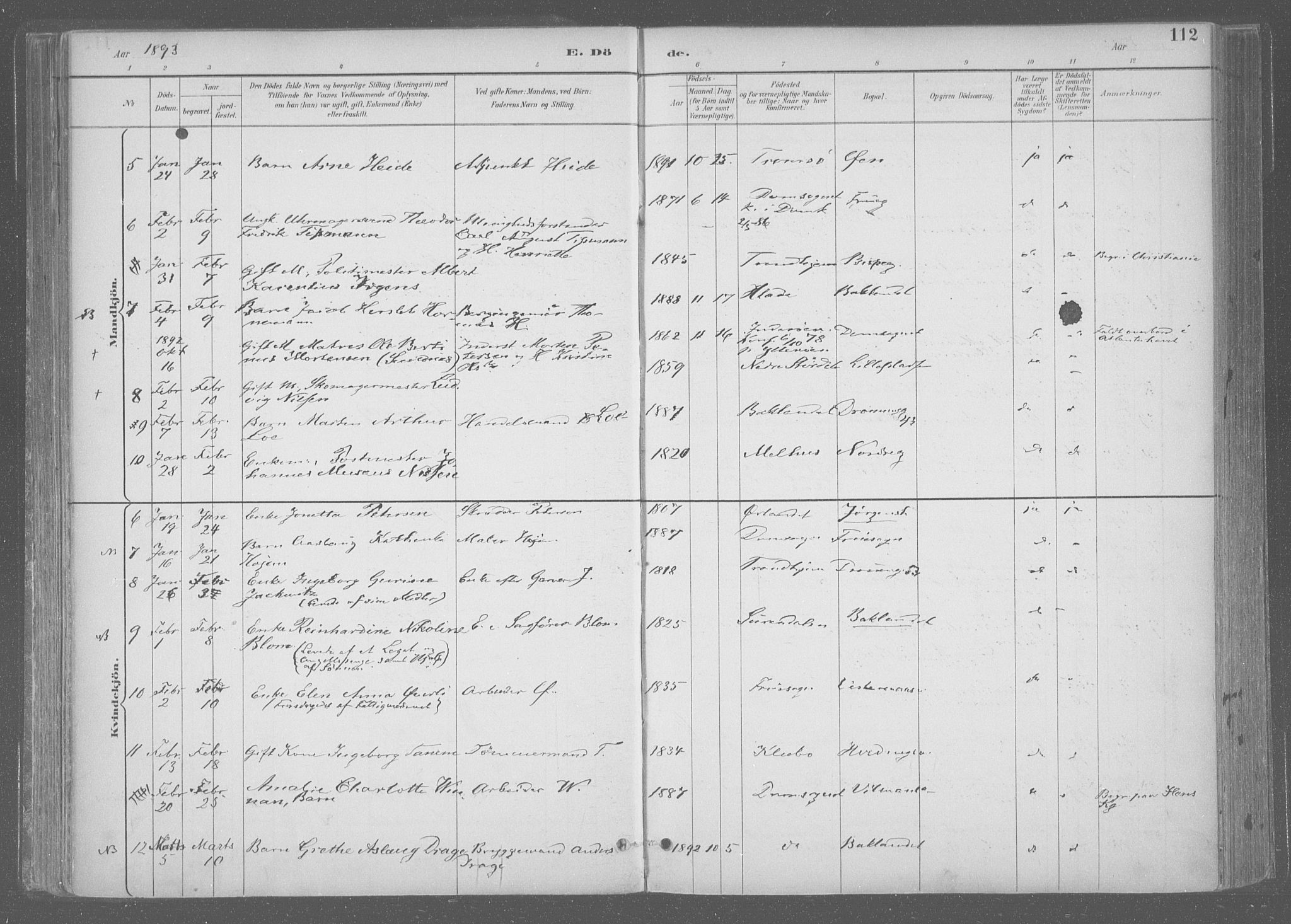 Ministerialprotokoller, klokkerbøker og fødselsregistre - Sør-Trøndelag, AV/SAT-A-1456/601/L0064: Parish register (official) no. 601A31, 1891-1911, p. 112