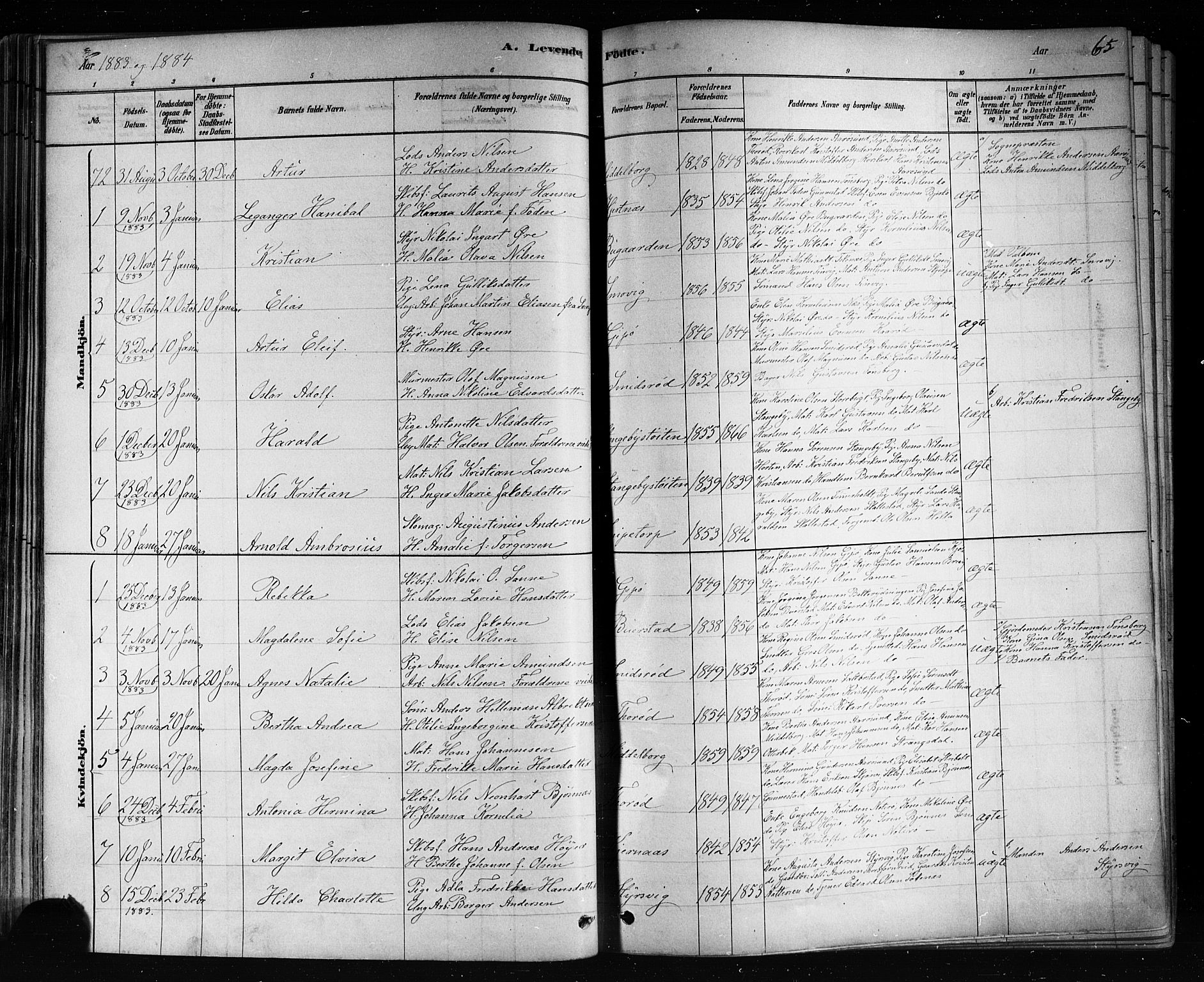 Nøtterøy kirkebøker, AV/SAKO-A-354/F/Fa/L0008: Parish register (official) no. I 8, 1878-1893, p. 65