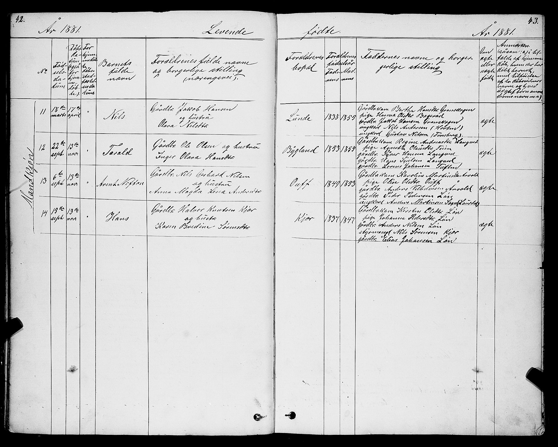 Ramnes kirkebøker, AV/SAKO-A-314/G/Gc/L0001: Parish register (copy) no. III 1, 1869-1903, p. 42-43