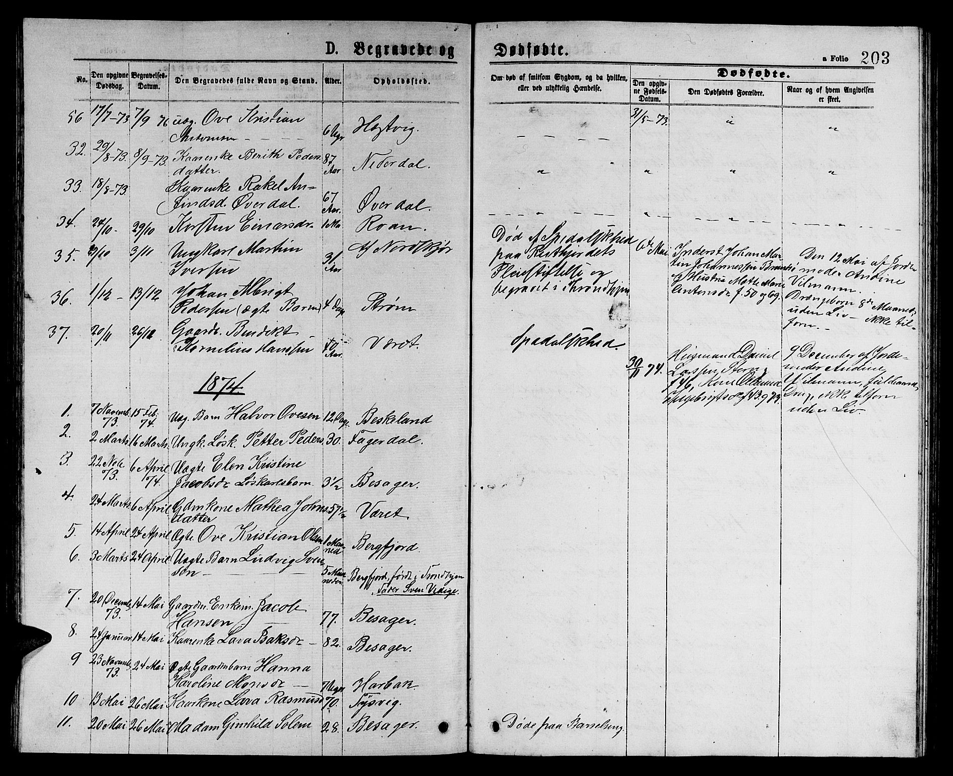 Ministerialprotokoller, klokkerbøker og fødselsregistre - Sør-Trøndelag, SAT/A-1456/657/L0715: Parish register (copy) no. 657C02, 1873-1888, p. 203