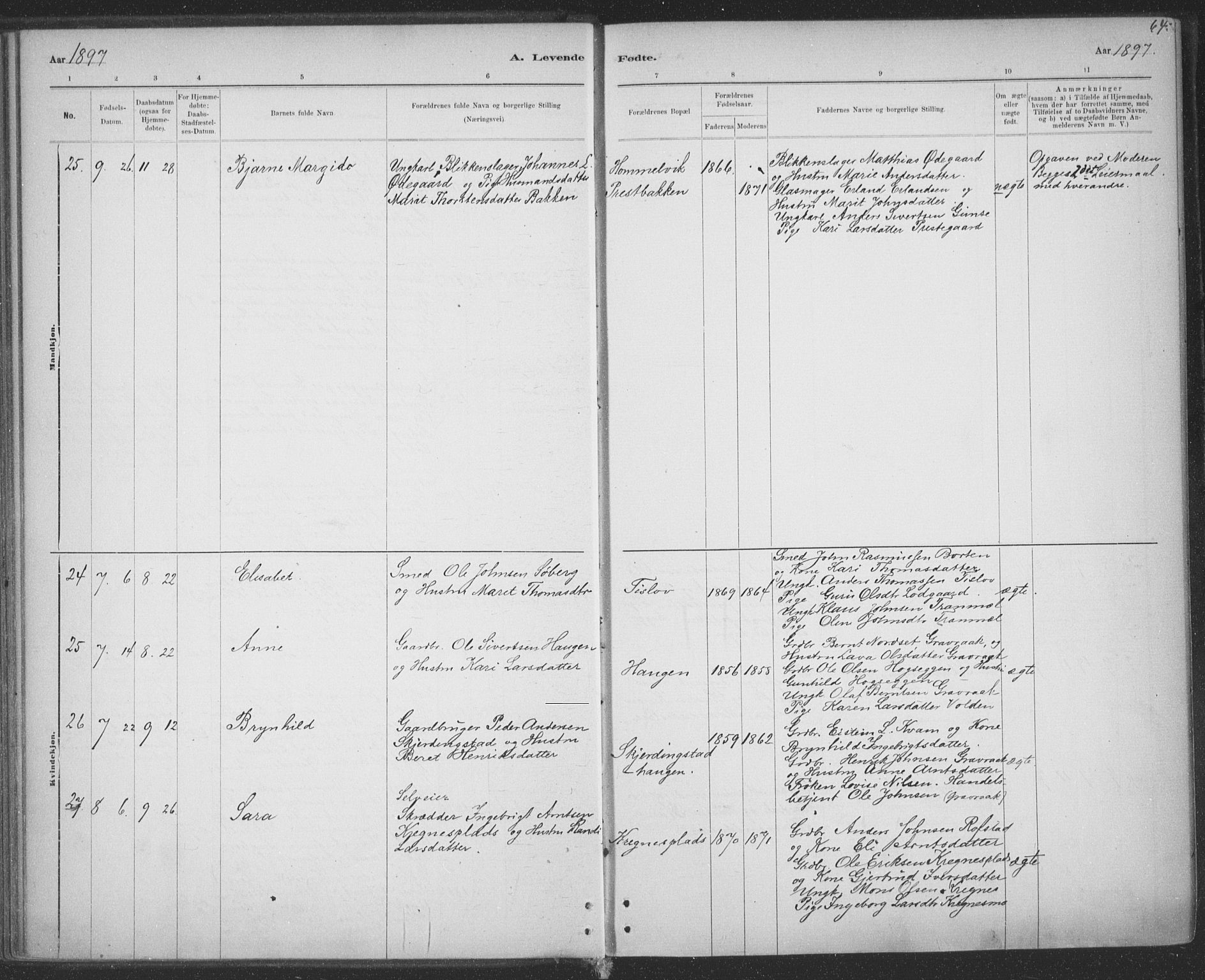 Ministerialprotokoller, klokkerbøker og fødselsregistre - Sør-Trøndelag, AV/SAT-A-1456/691/L1085: Parish register (official) no. 691A17, 1887-1908, p. 64