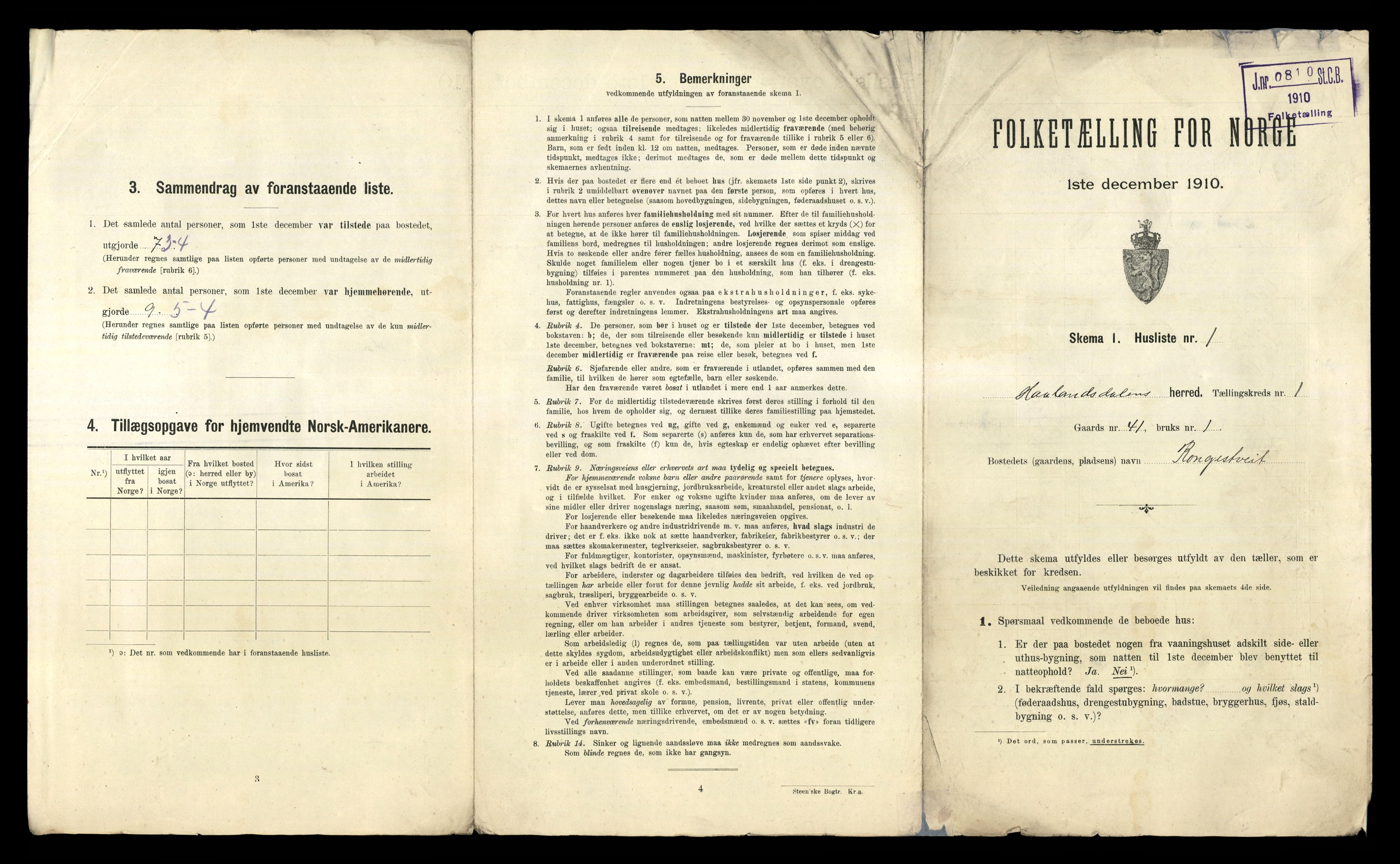 RA, 1910 census for Hålandsdal, 1910, p. 20