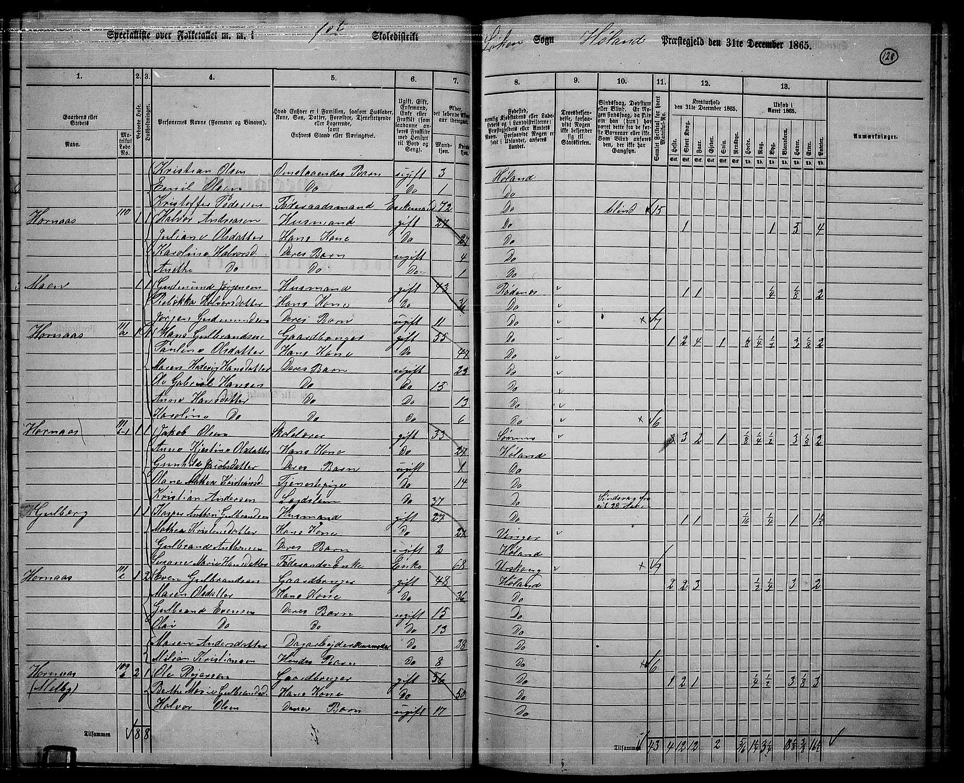 RA, 1865 census for Høland, 1865, p. 119