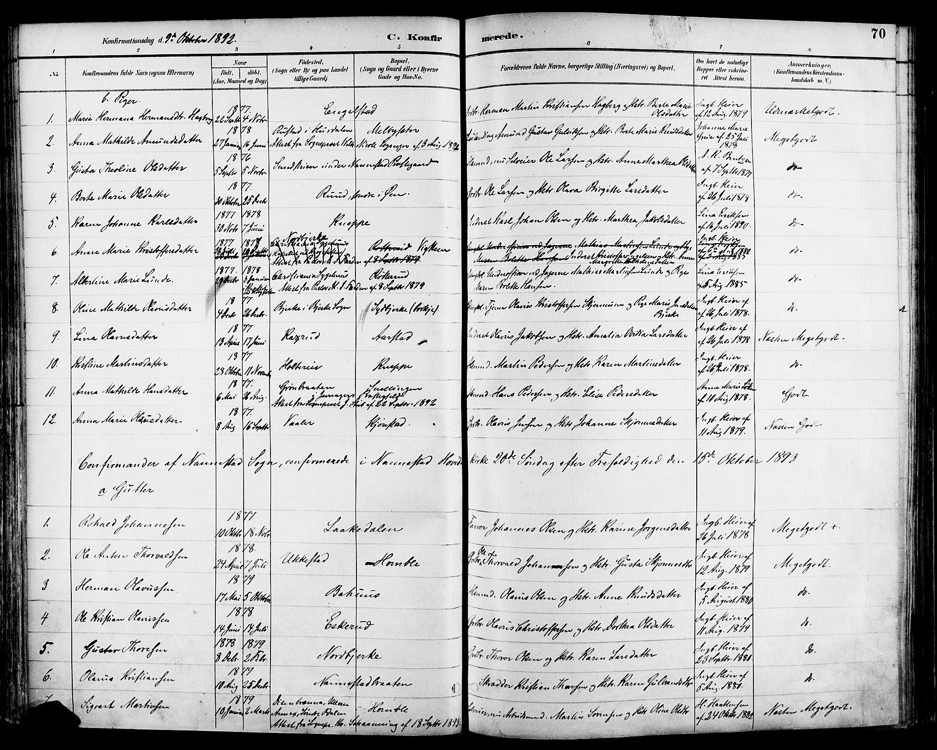 Nannestad prestekontor Kirkebøker, SAO/A-10414a/F/Fa/L0015: Parish register (official) no. I 15, 1891-1905, p. 70