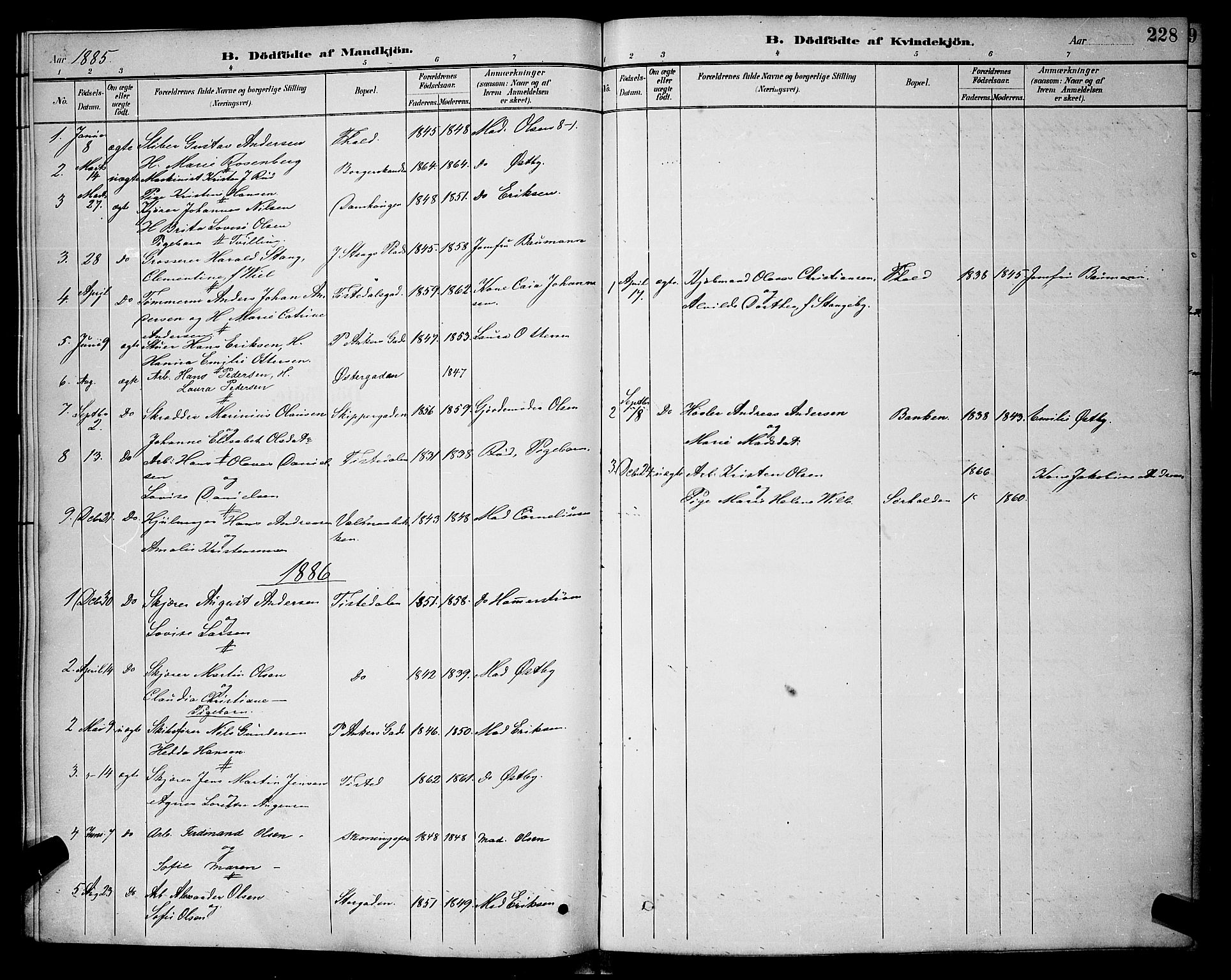 Halden prestekontor Kirkebøker, SAO/A-10909/G/Ga/L0008: Parish register (copy) no. 8, 1885-1899, p. 228