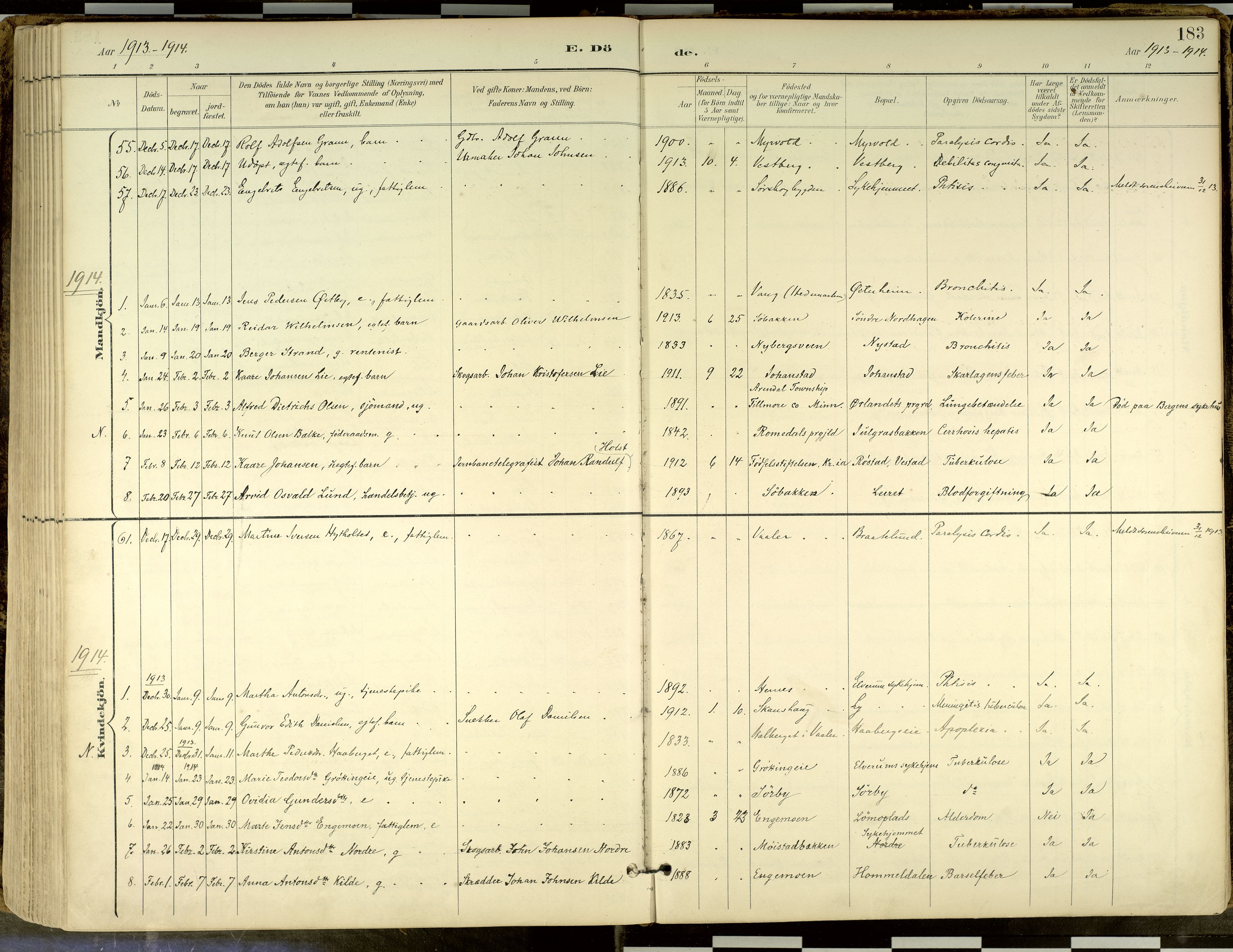 Elverum prestekontor, SAH/PREST-044/H/Ha/Haa/L0018: Parish register (official) no. 18, 1894-1914, p. 183