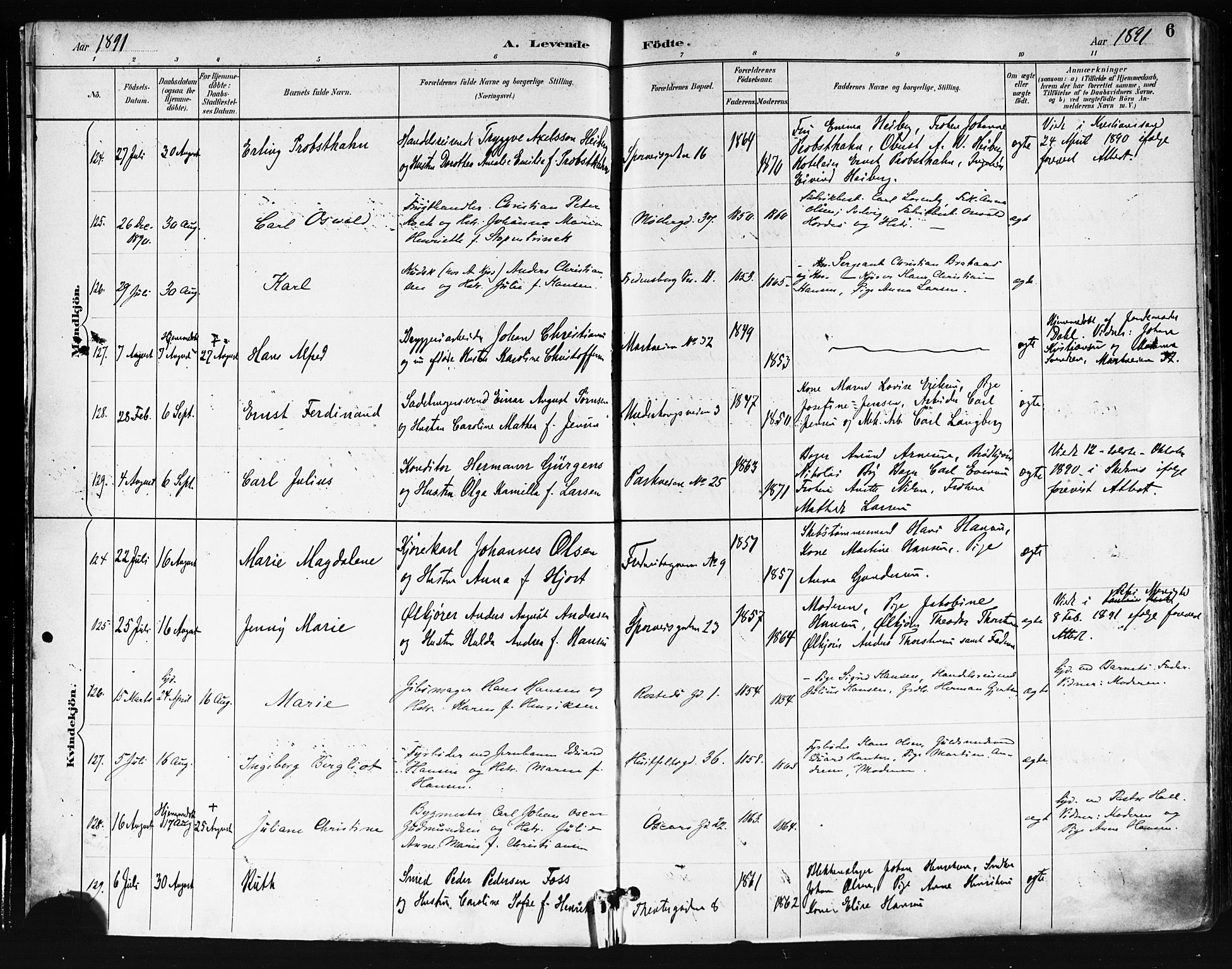 Trefoldighet prestekontor Kirkebøker, AV/SAO-A-10882/F/Fa/L0006: Parish register (official) no. I 6, 1891-1899, p. 6