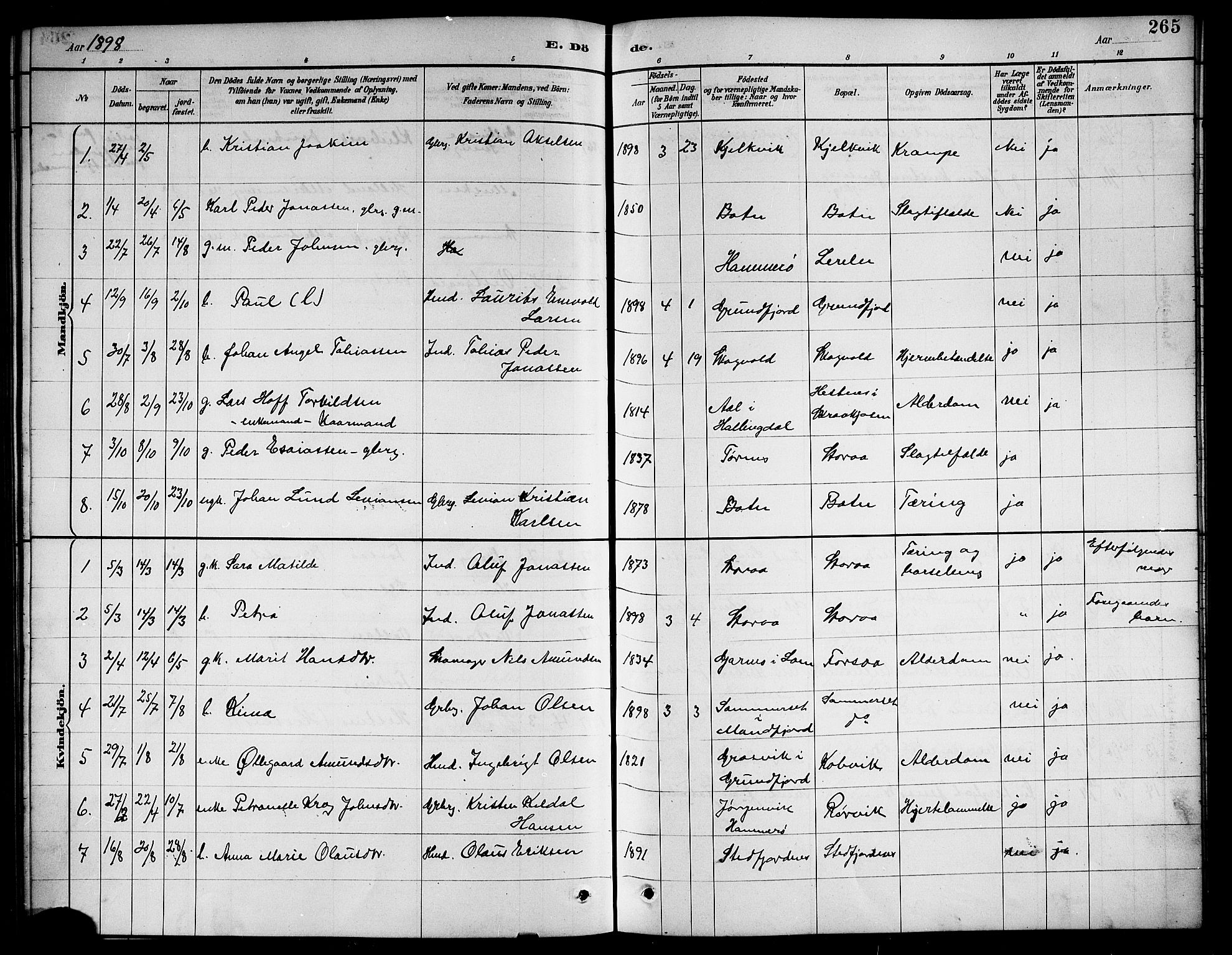 Ministerialprotokoller, klokkerbøker og fødselsregistre - Nordland, AV/SAT-A-1459/861/L0876: Parish register (copy) no. 861C02, 1887-1903, p. 265