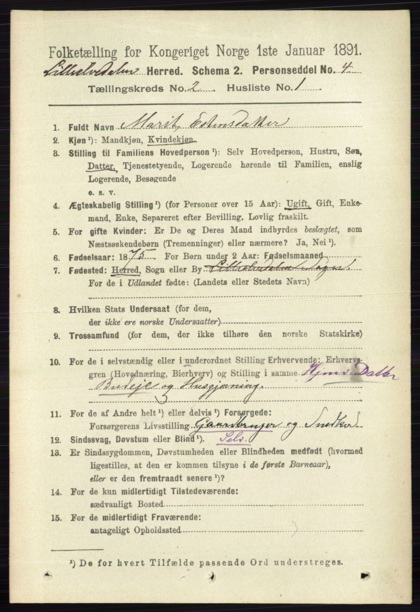 RA, 1891 census for 0438 Lille Elvedalen, 1891, p. 553