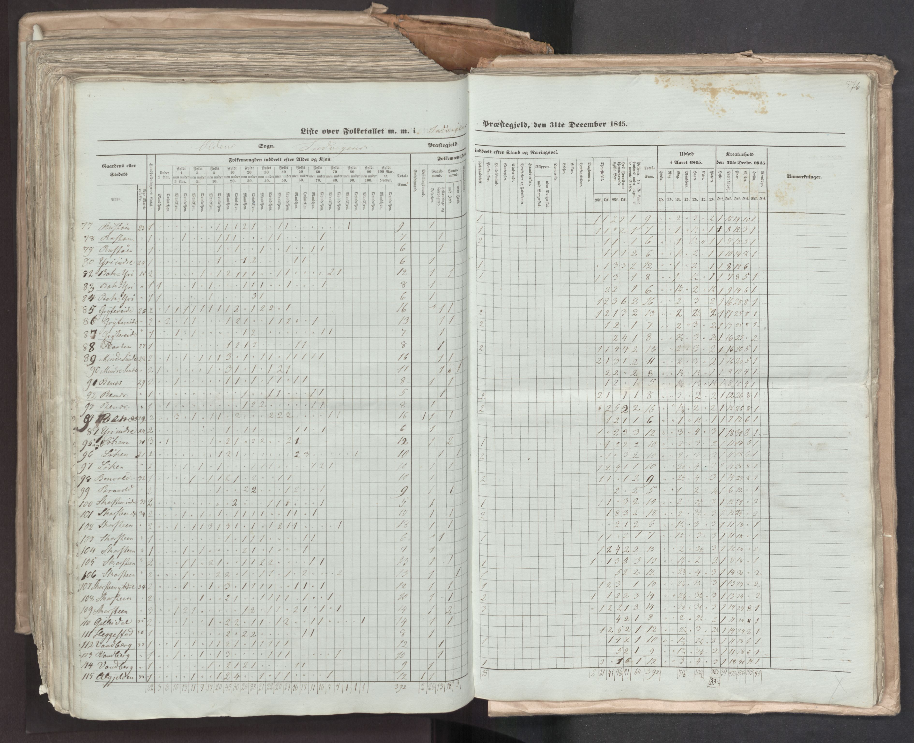 RA, Census 1845, vol. 7: Søndre Bergenhus amt og Nordre Bergenhus amt, 1845, p. 576