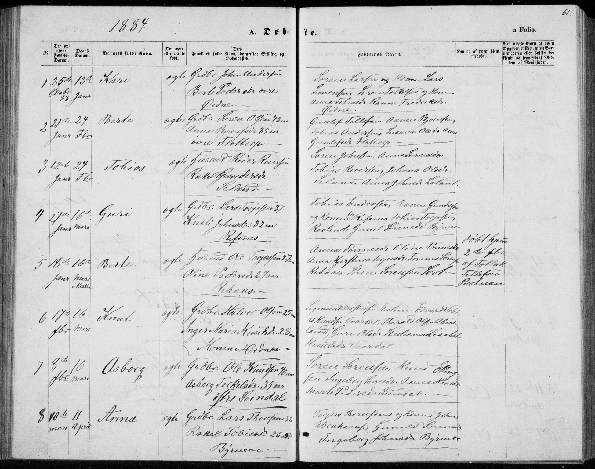 Bjelland sokneprestkontor, SAK/1111-0005/F/Fb/Fbc/L0002: Parish register (copy) no. B 2, 1867-1887, p. 61