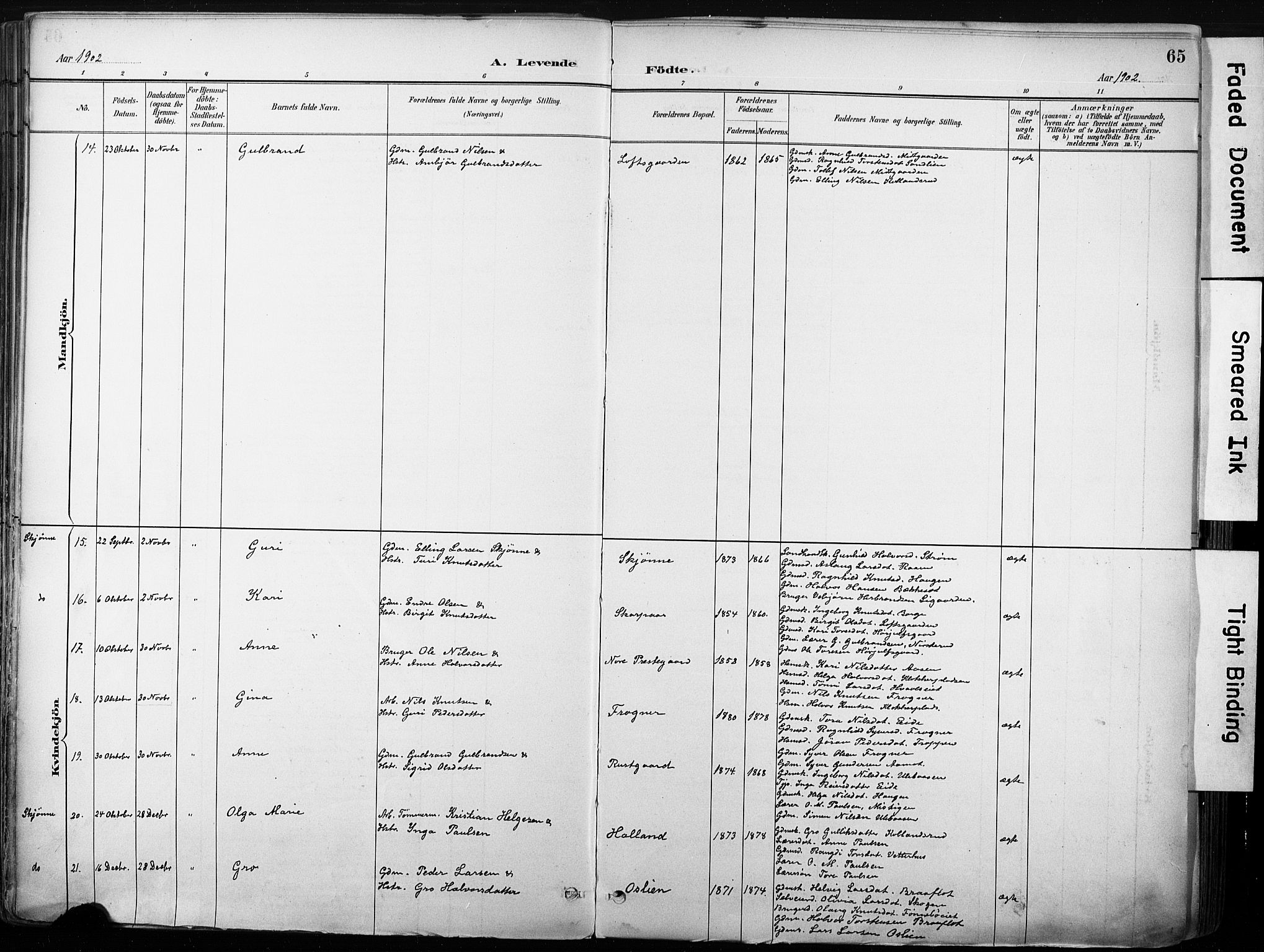 Nore kirkebøker, SAKO/A-238/F/Fb/L0002: Parish register (official) no. II 2, 1886-1906, p. 65