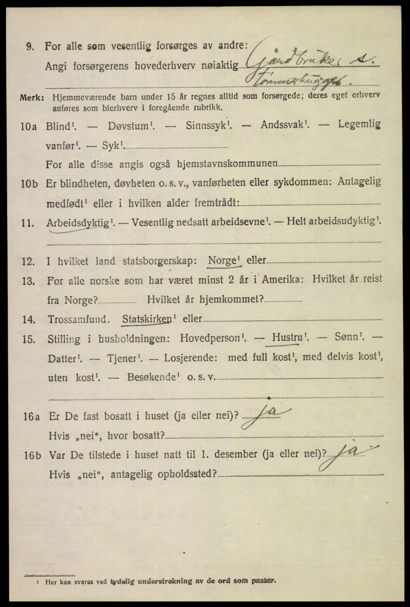 SAH, 1920 census for Skjåk, 1920, p. 2451