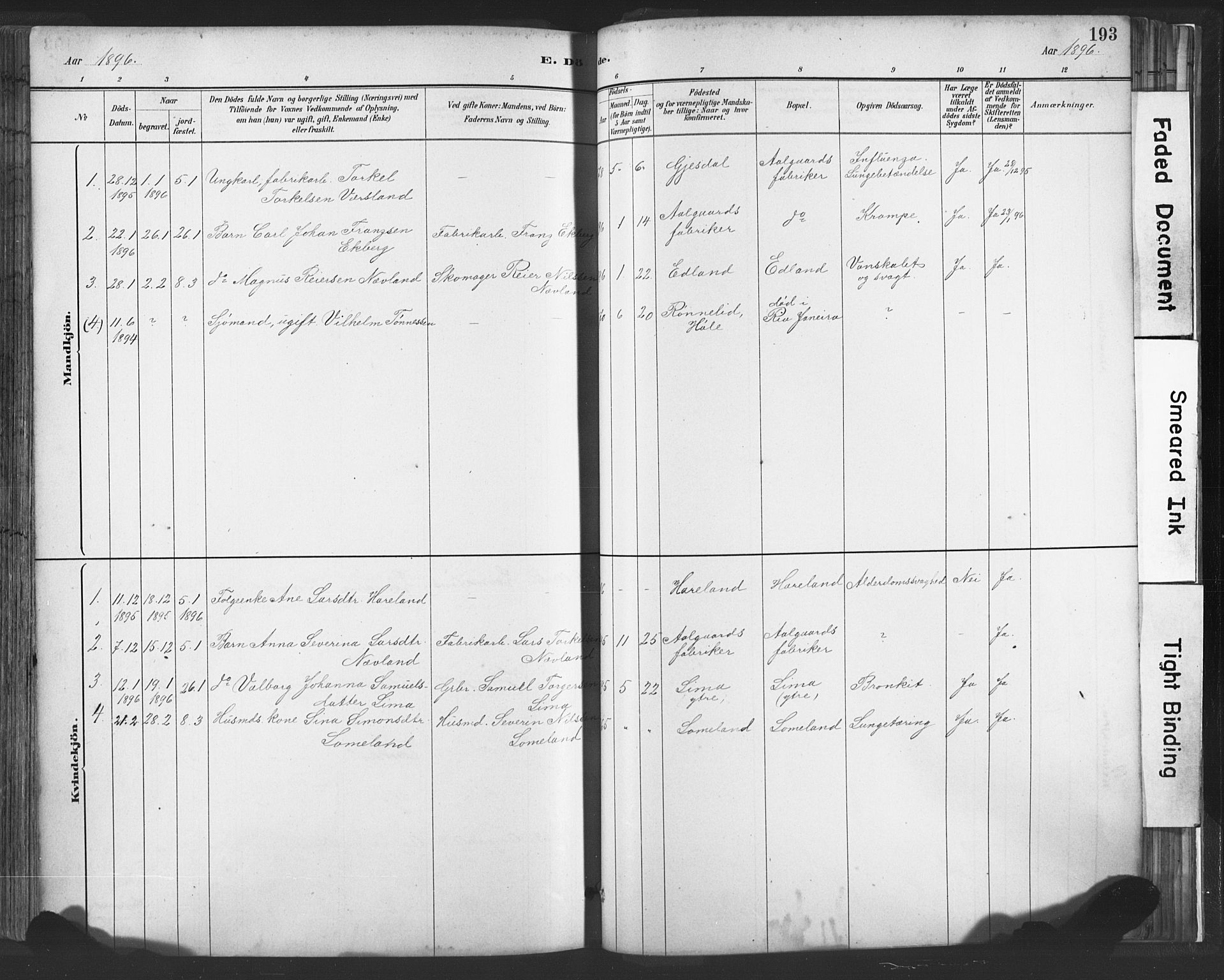 Lye sokneprestkontor, SAST/A-101794/001/30BA/L0010: Parish register (official) no. A 10, 1881-1896, p. 193