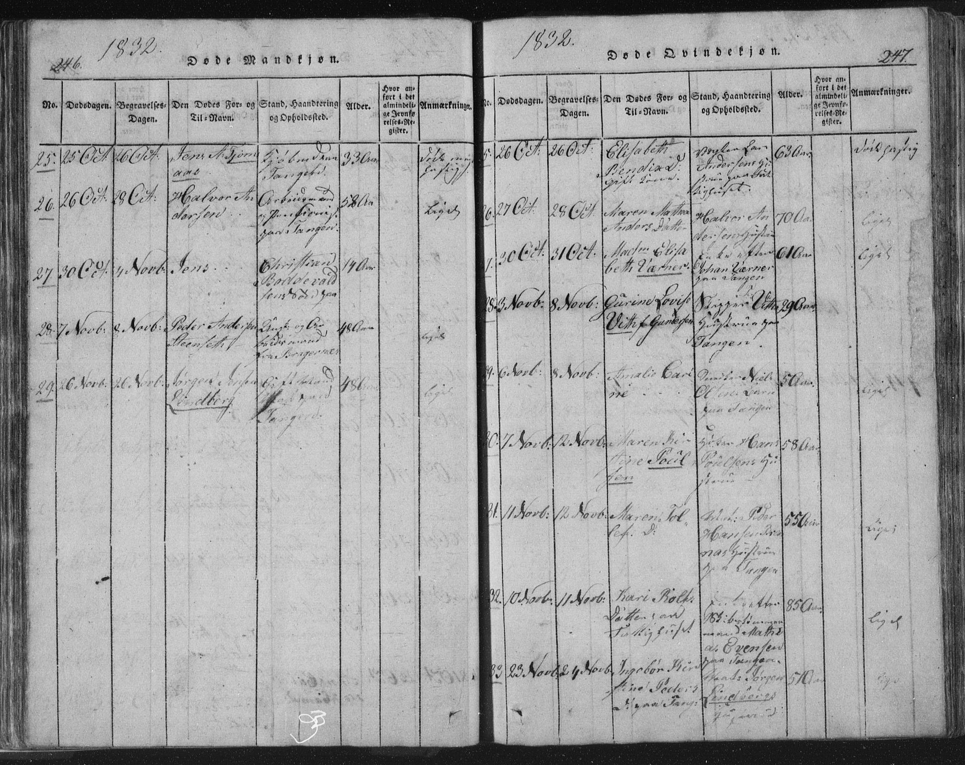 Strømsø kirkebøker, AV/SAKO-A-246/F/Fb/L0004: Parish register (official) no. II 4, 1814-1843, p. 246-247