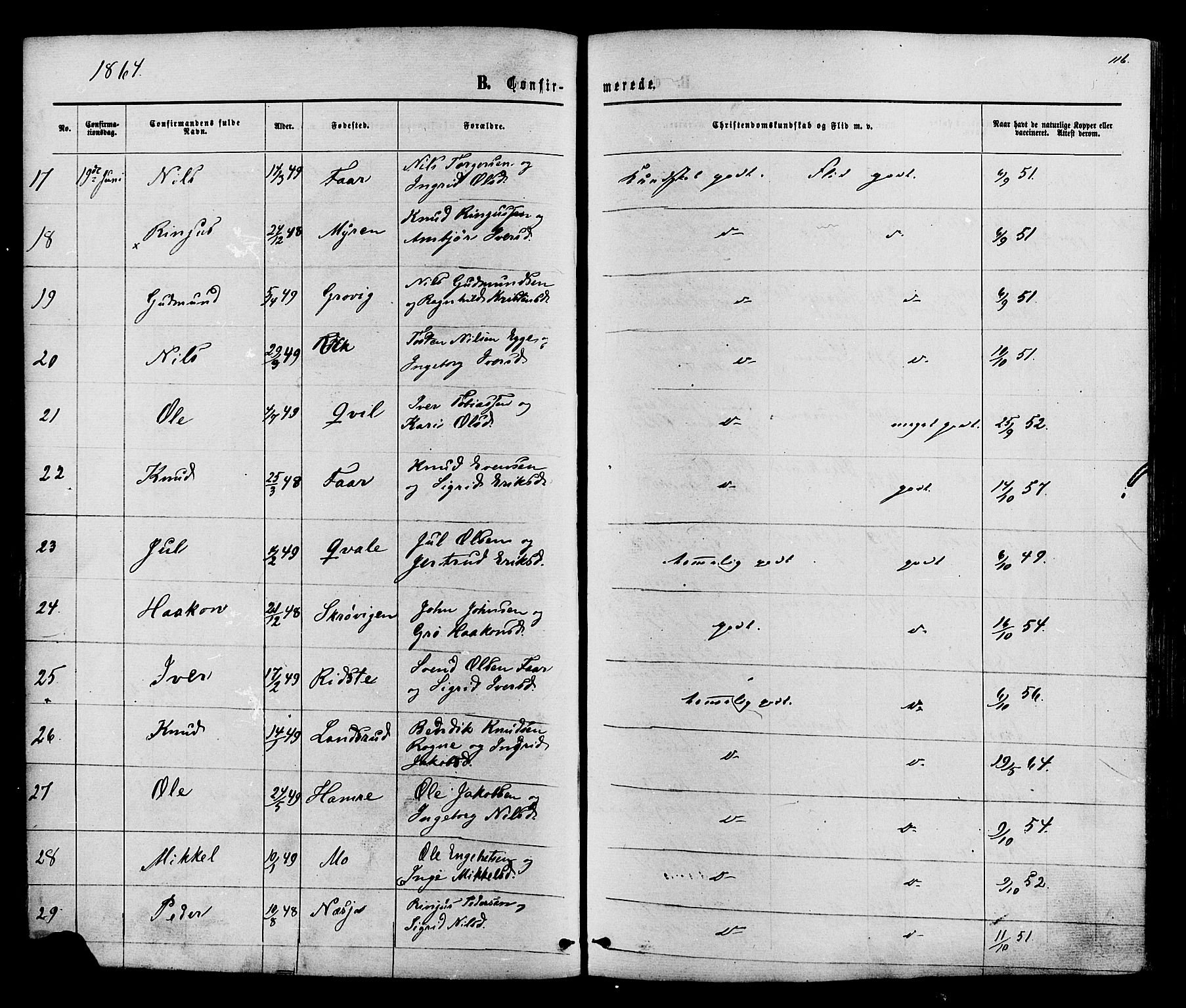 Vestre Slidre prestekontor, SAH/PREST-136/H/Ha/Haa/L0003: Parish register (official) no. 3, 1865-1880, p. 116