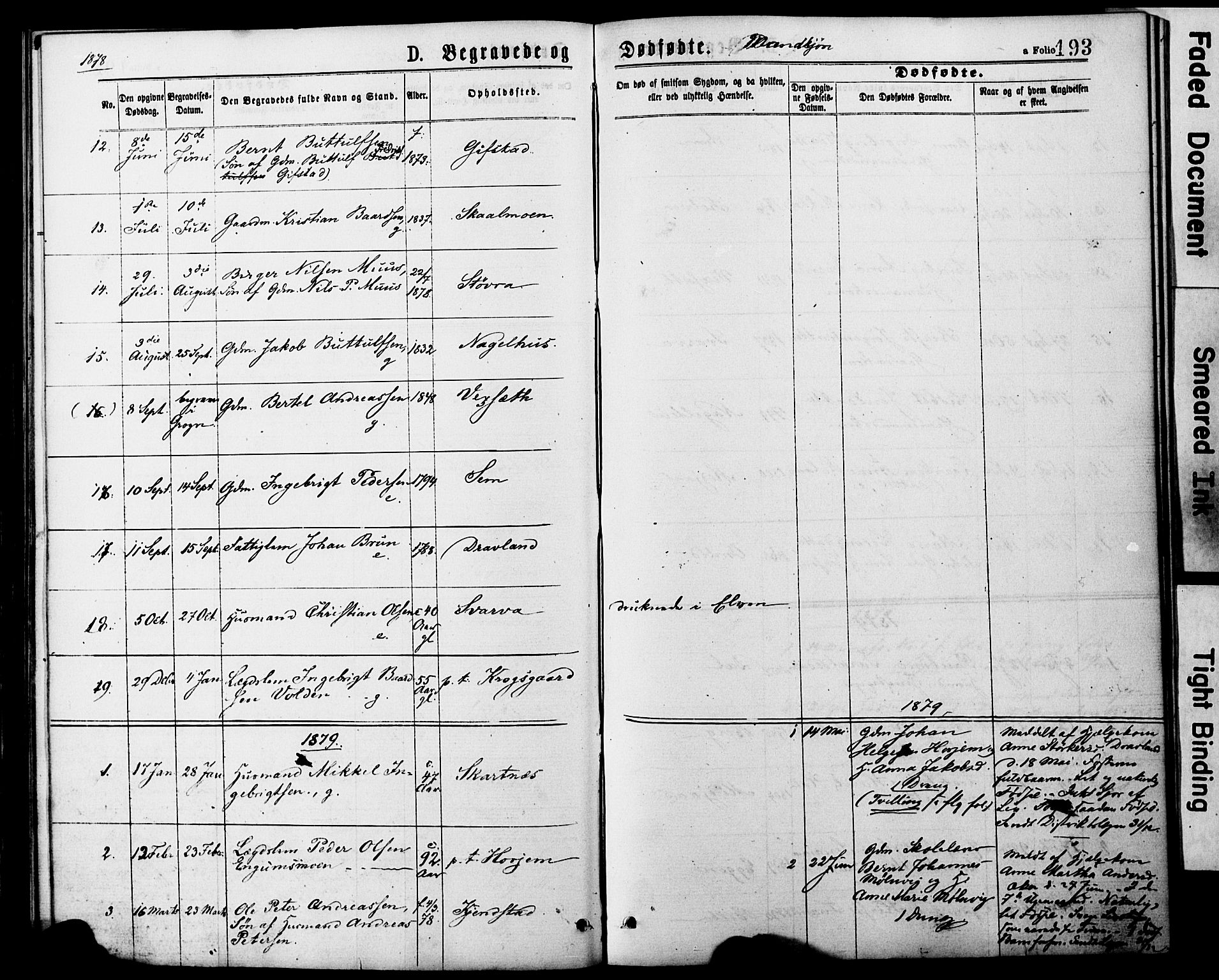 Ministerialprotokoller, klokkerbøker og fødselsregistre - Nord-Trøndelag, SAT/A-1458/749/L0473: Parish register (official) no. 749A07, 1873-1887, p. 193