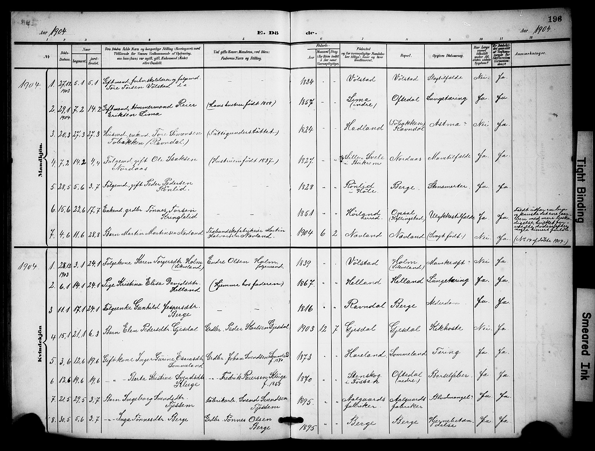 Lye sokneprestkontor, AV/SAST-A-101794/001/30BB/L0009: Parish register (copy) no. B 9, 1902-1923, p. 196